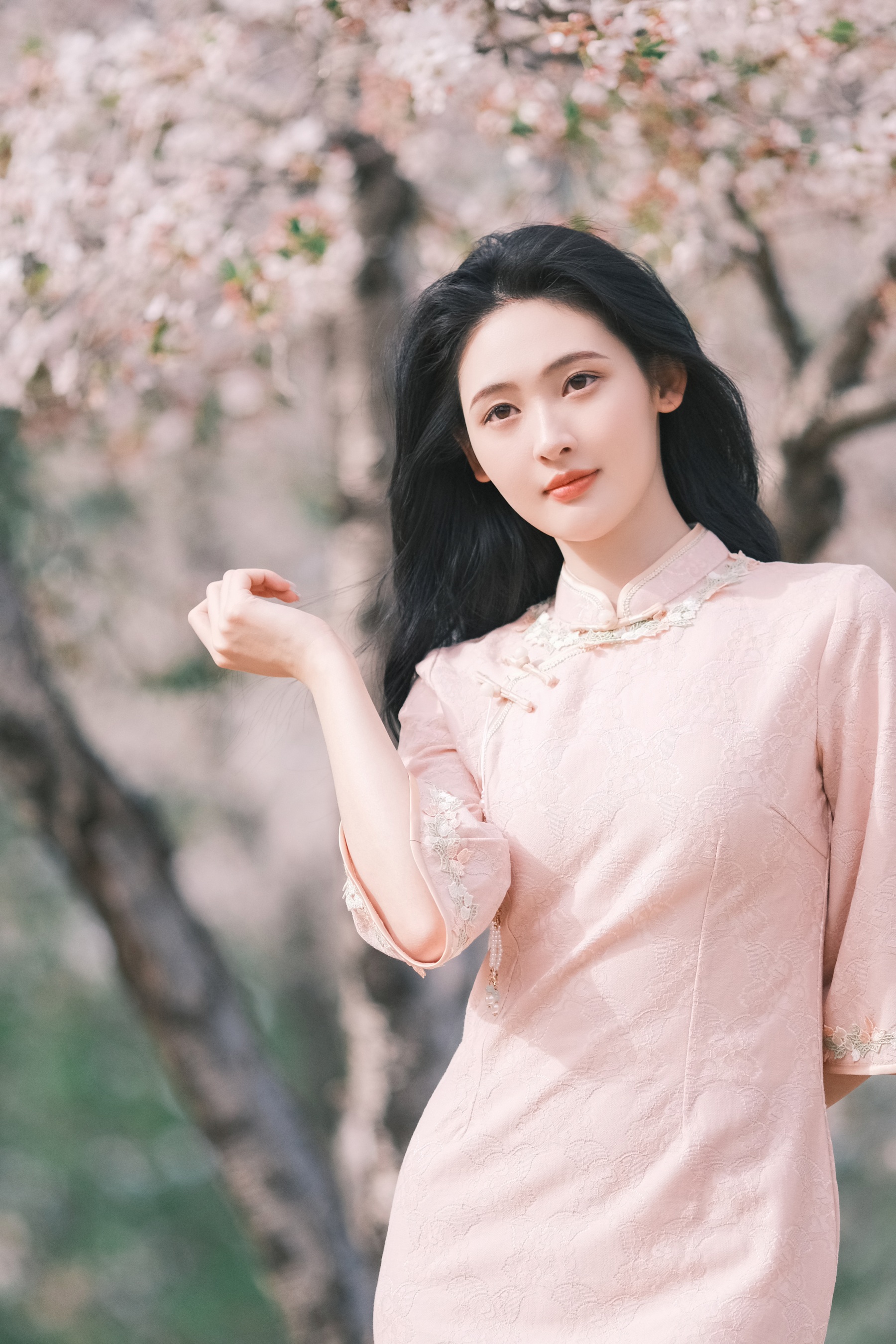 樱吹雪 豌豆雀斑少女