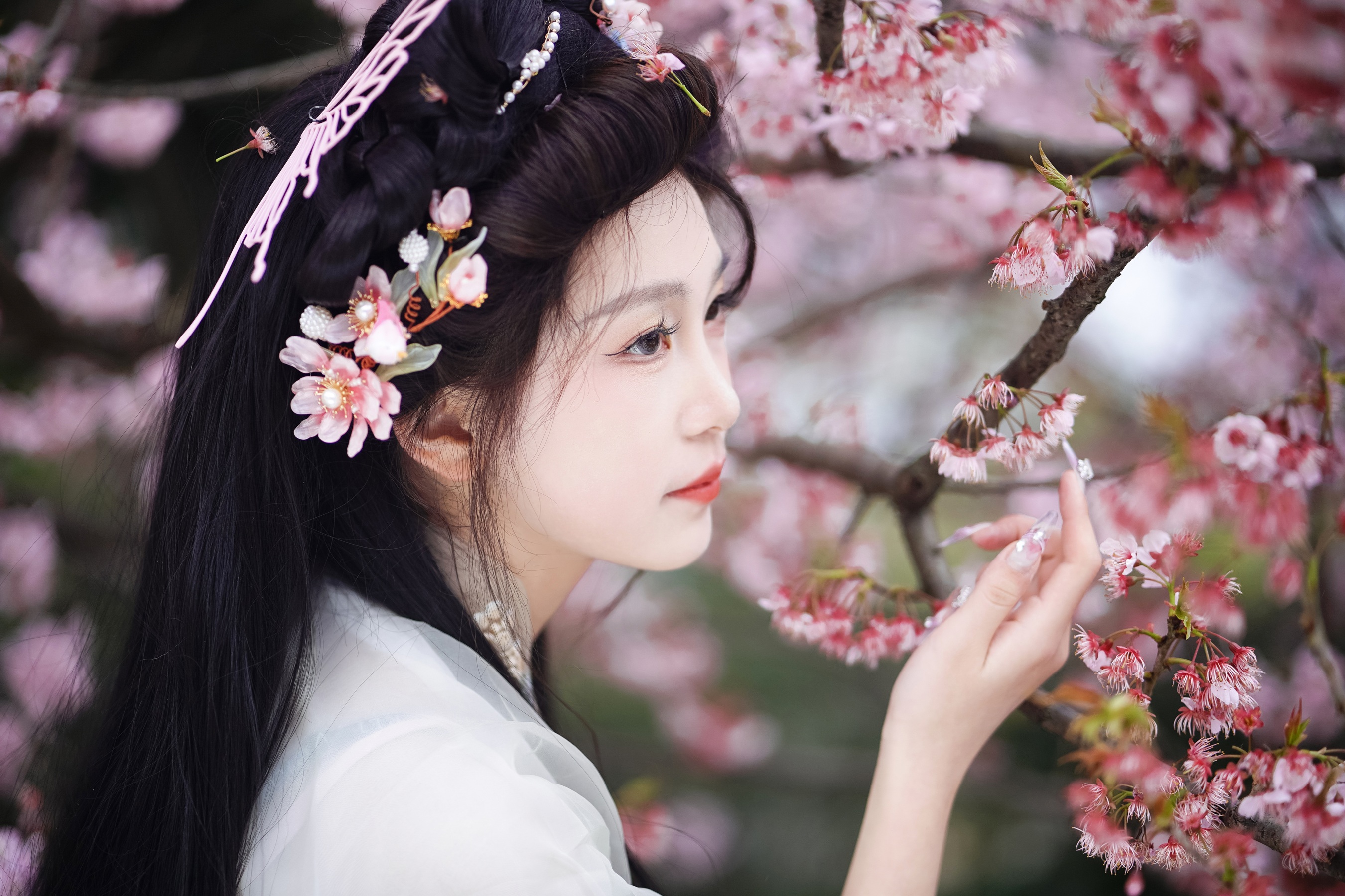 春天 树芊忆