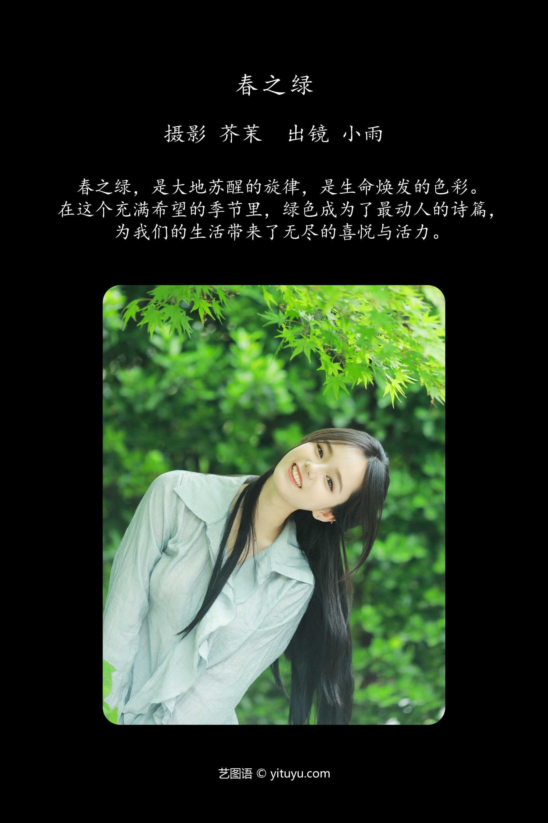 春之绿 十元
