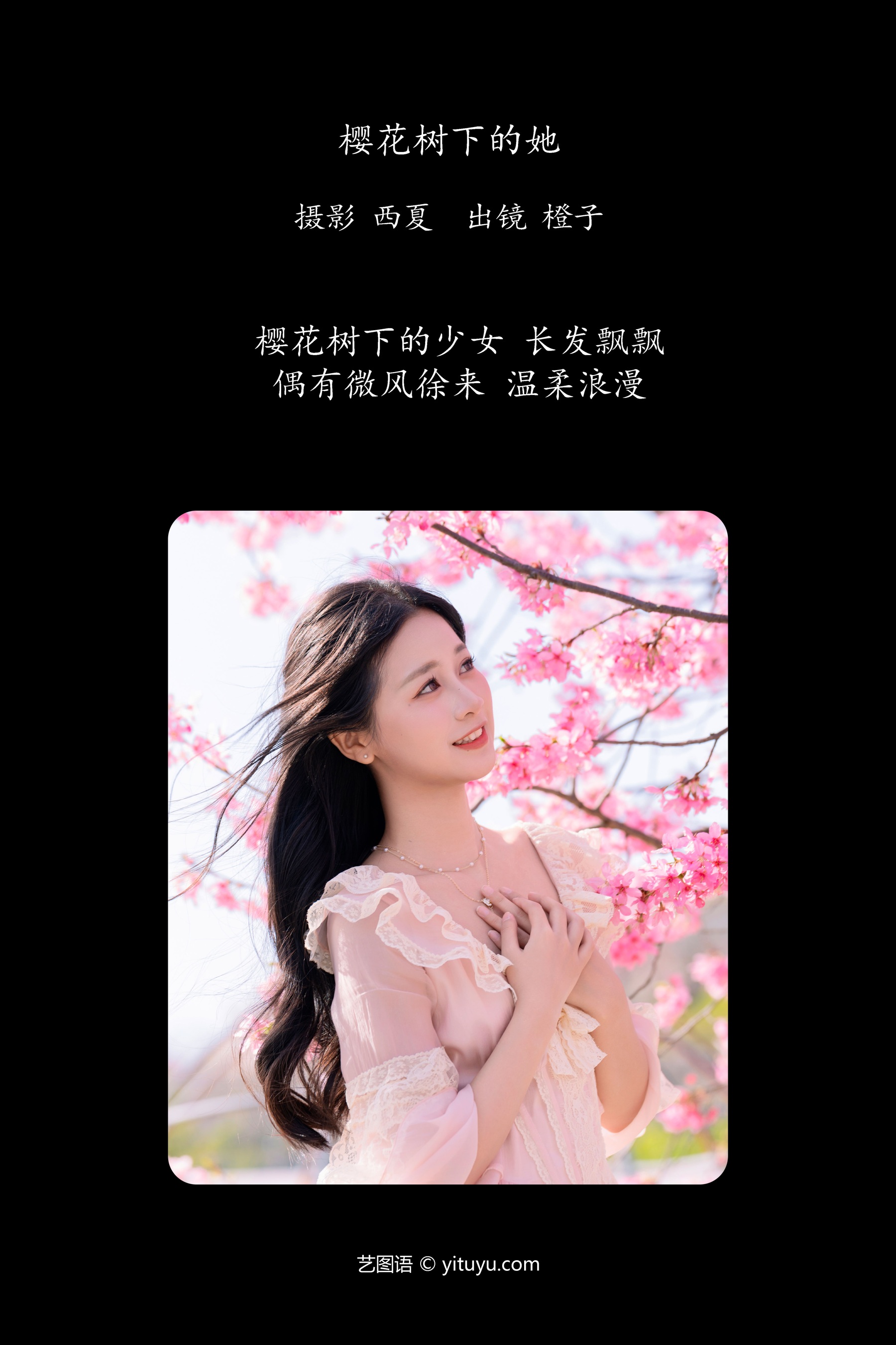 樱花树下的她 橙子舒