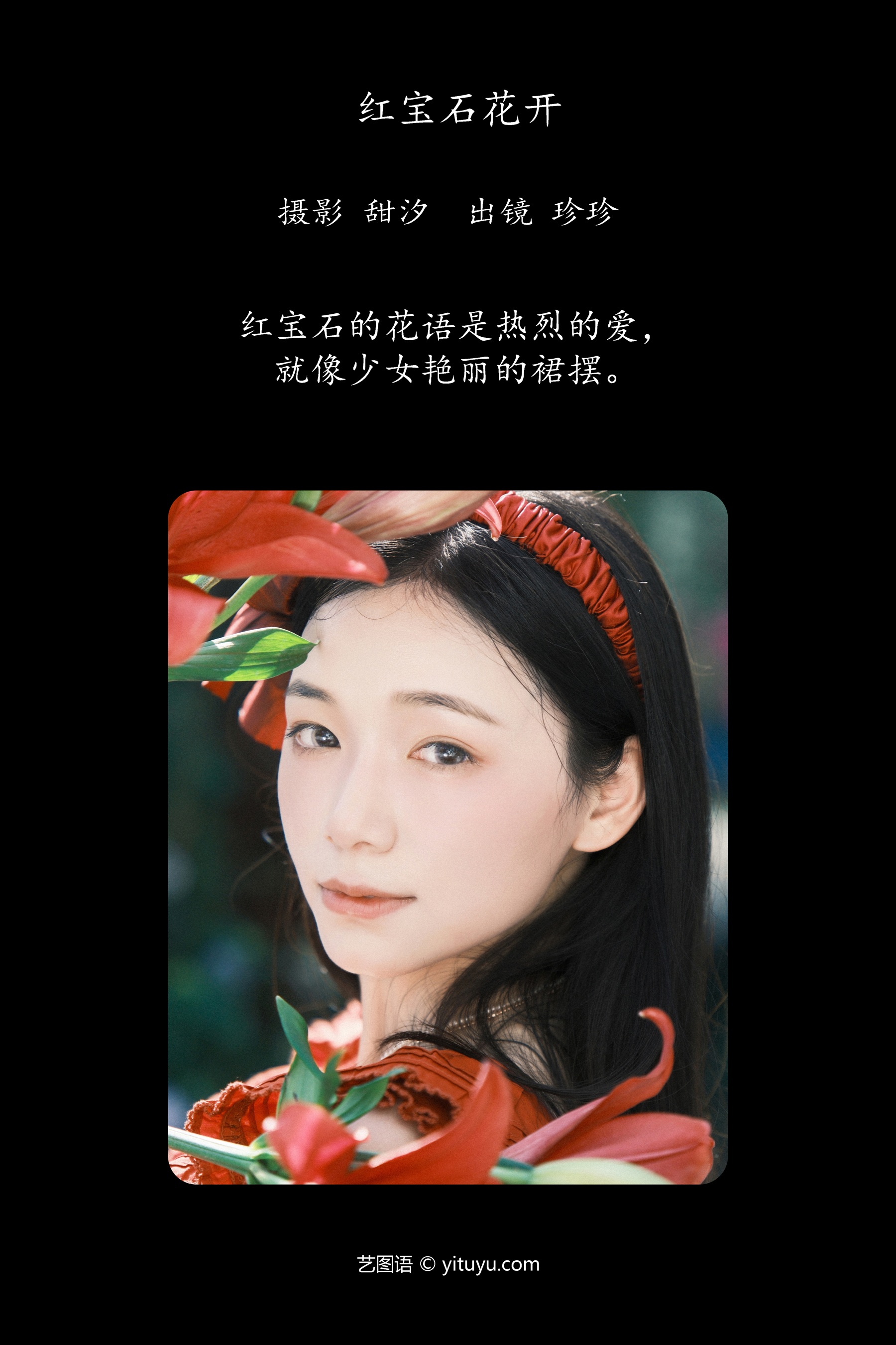 红宝石花开 Zzzhen