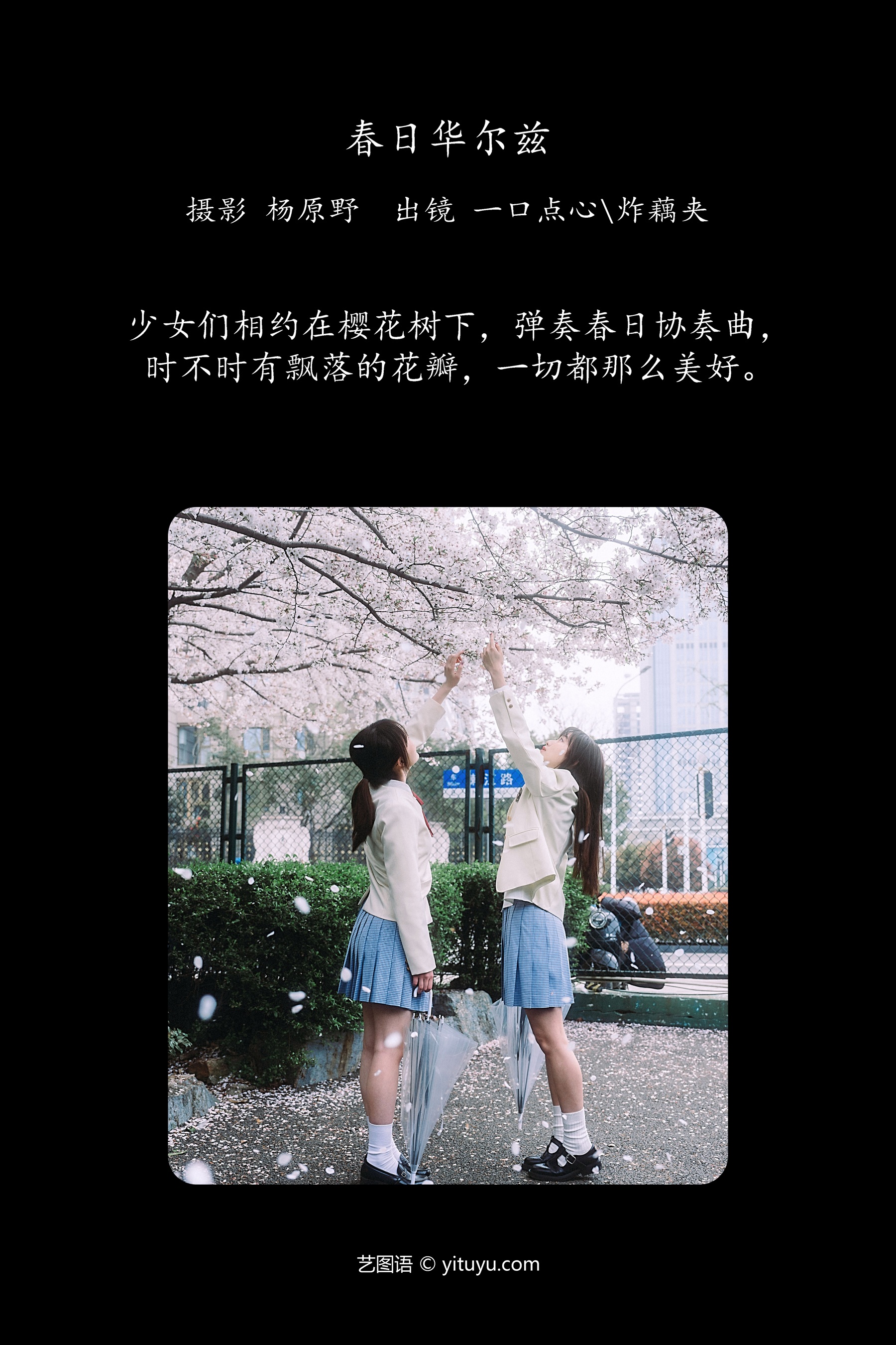 春日华尔兹 一口点心