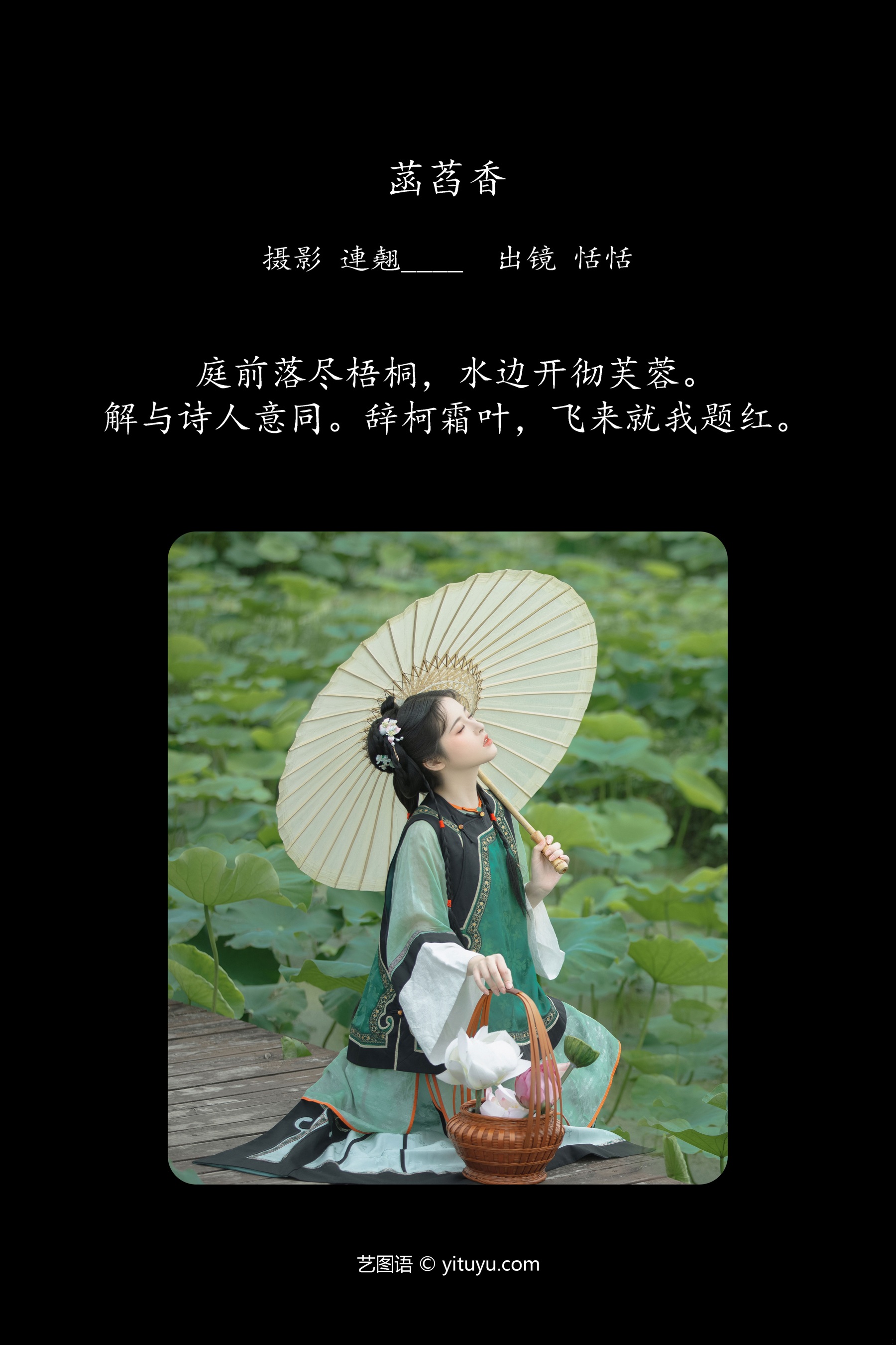 菡萏香 恬恬圈圈