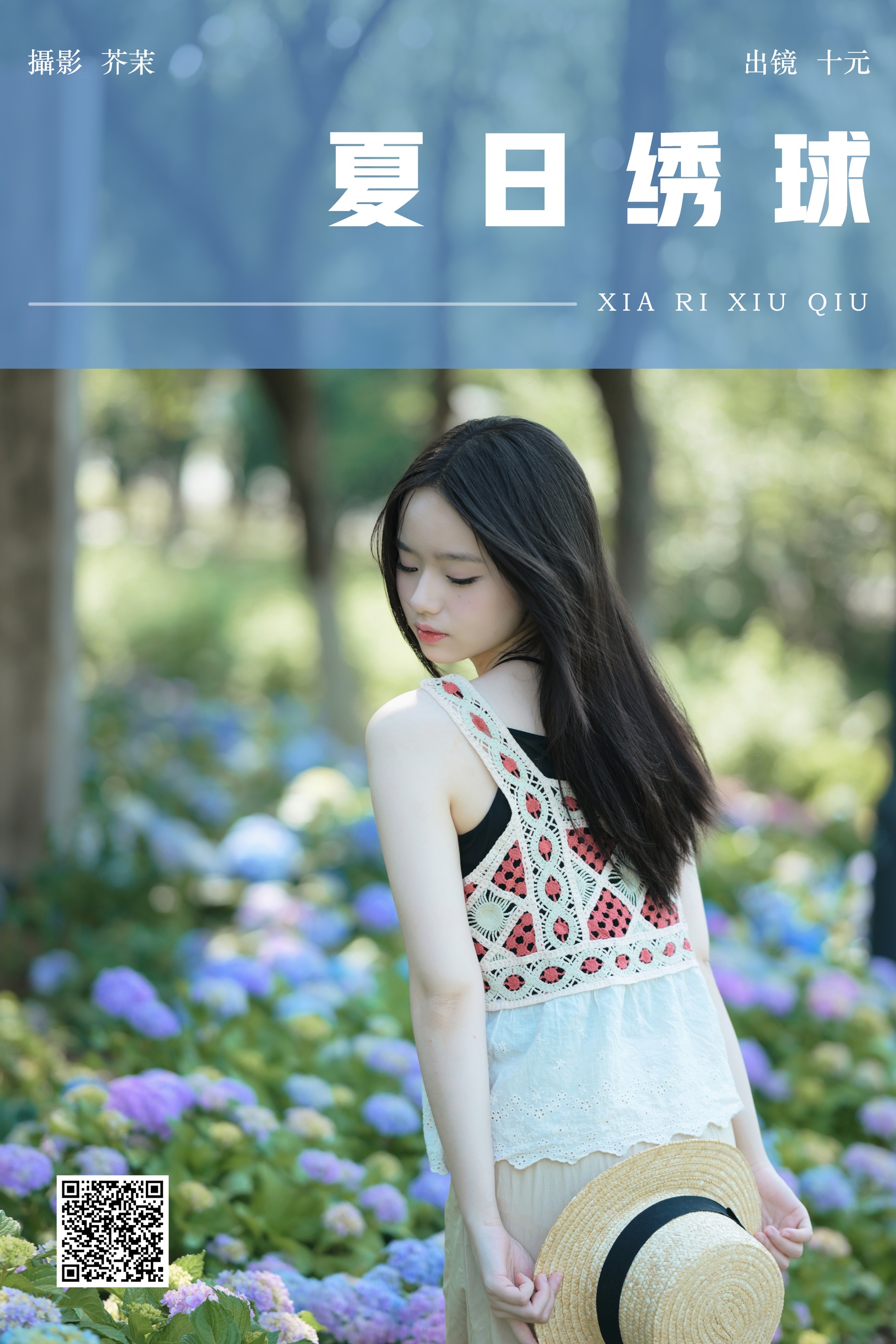 夏日绣球 十元
