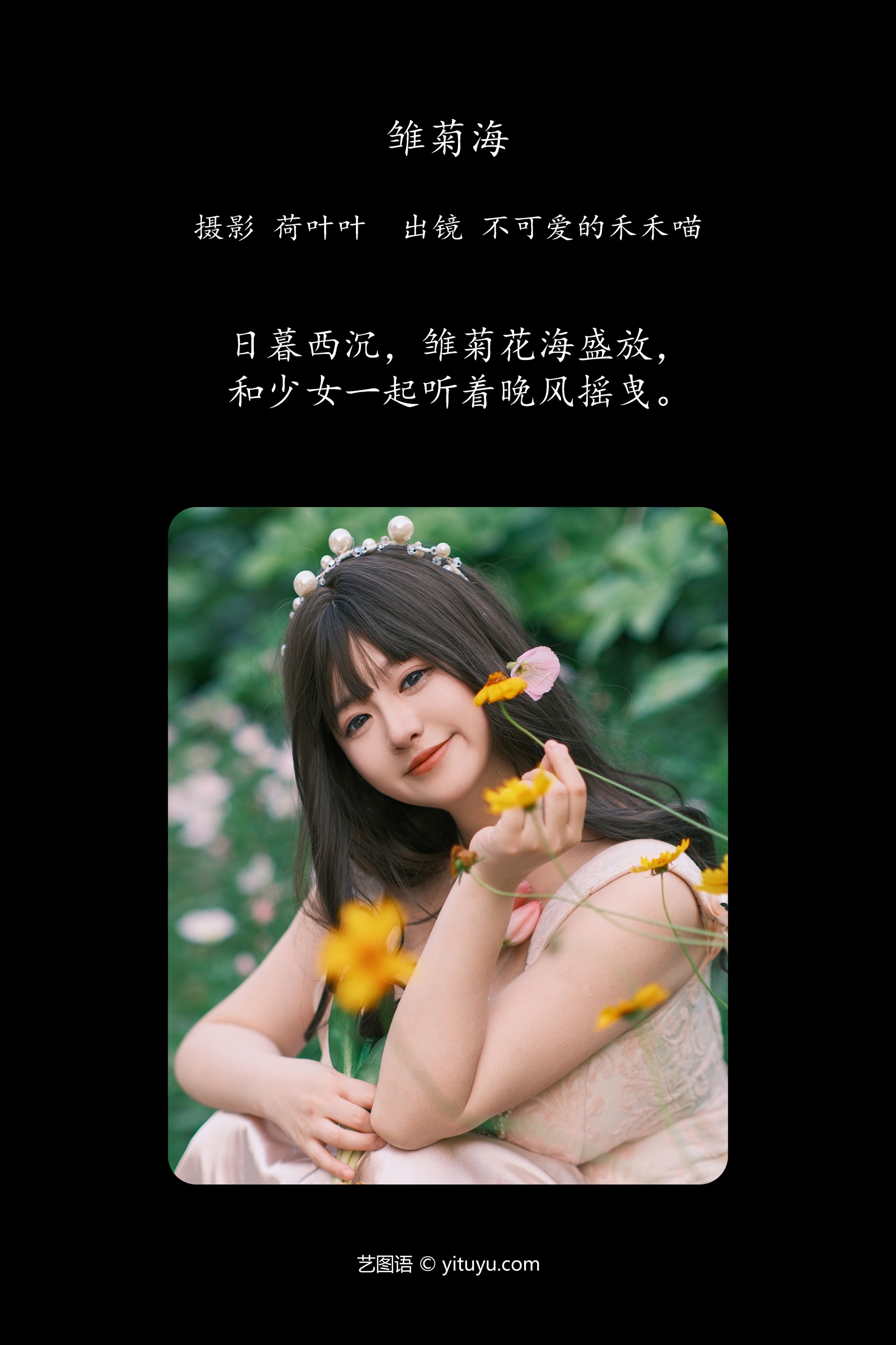 雏菊海 不可爱的禾禾喵