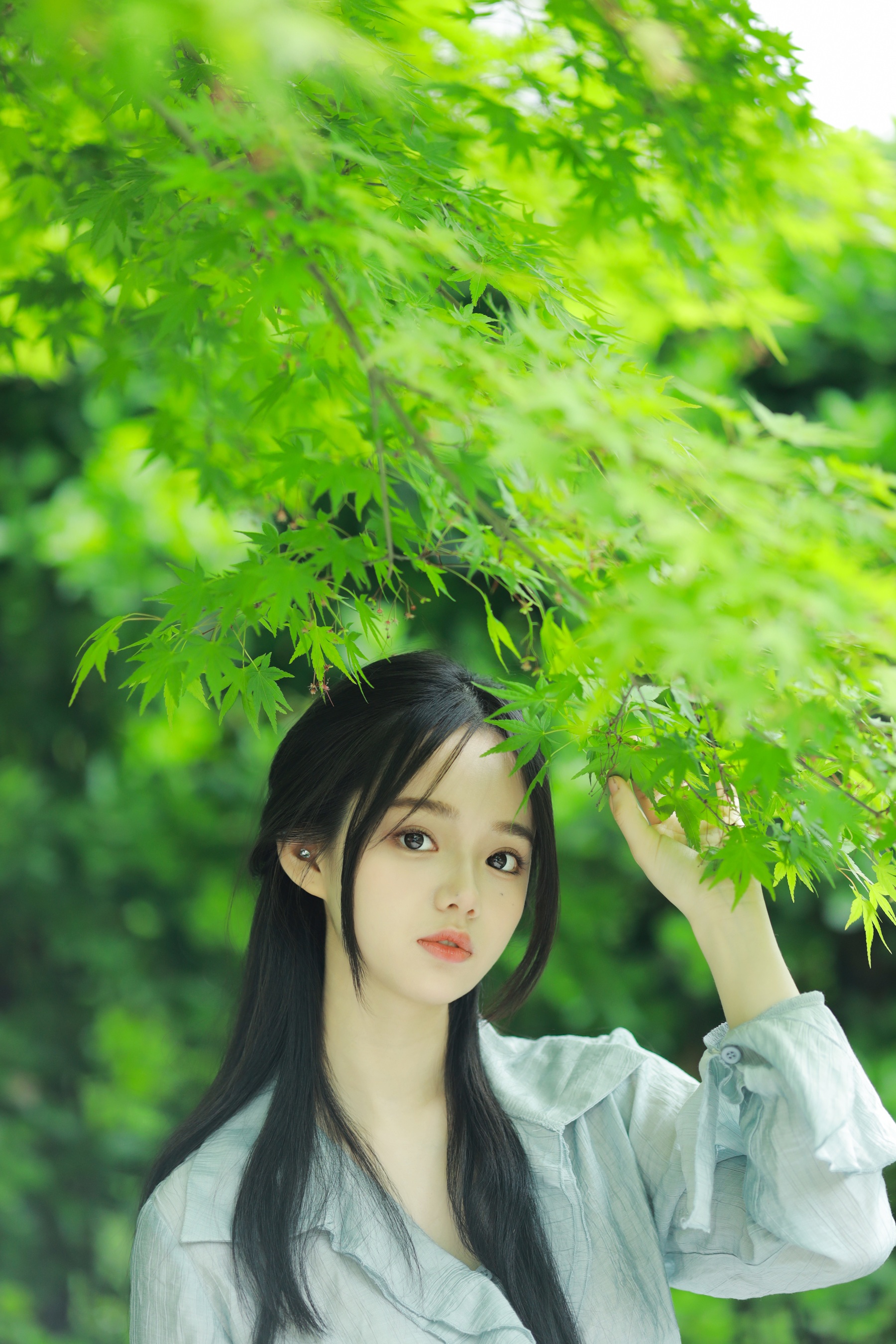 春之绿 十元