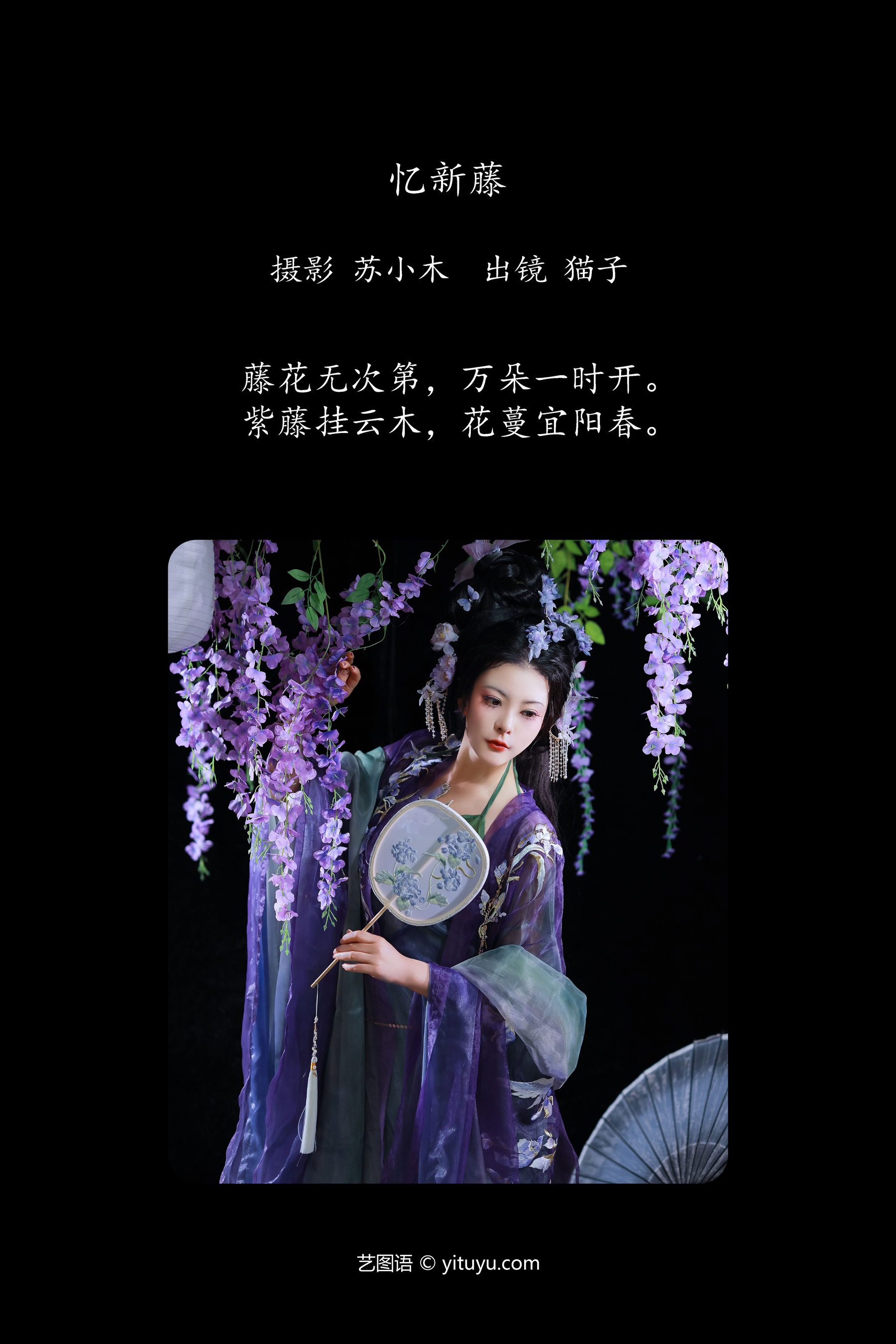 忆新藤 猫子子