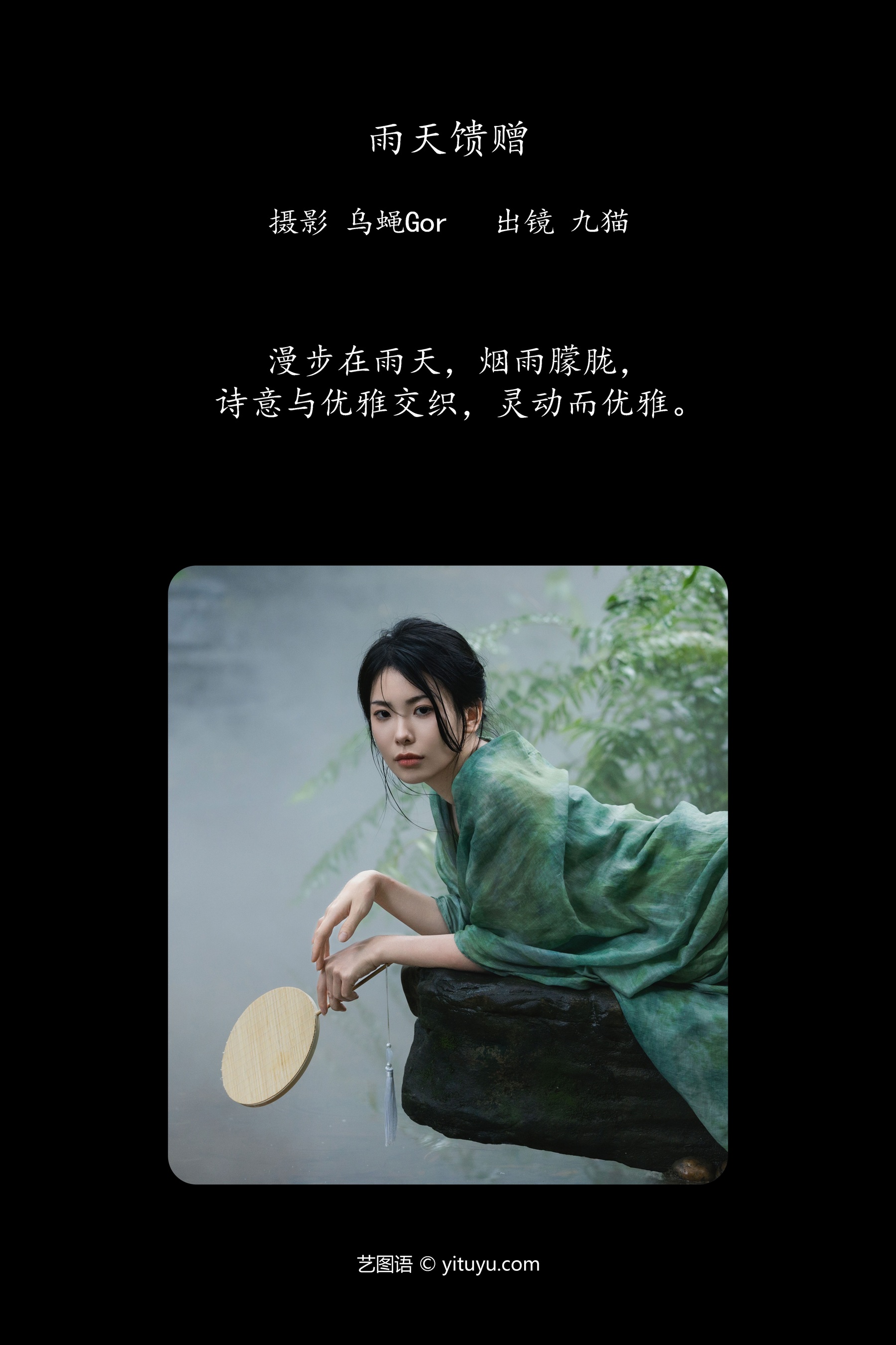 雨天馈赠 九猫」
