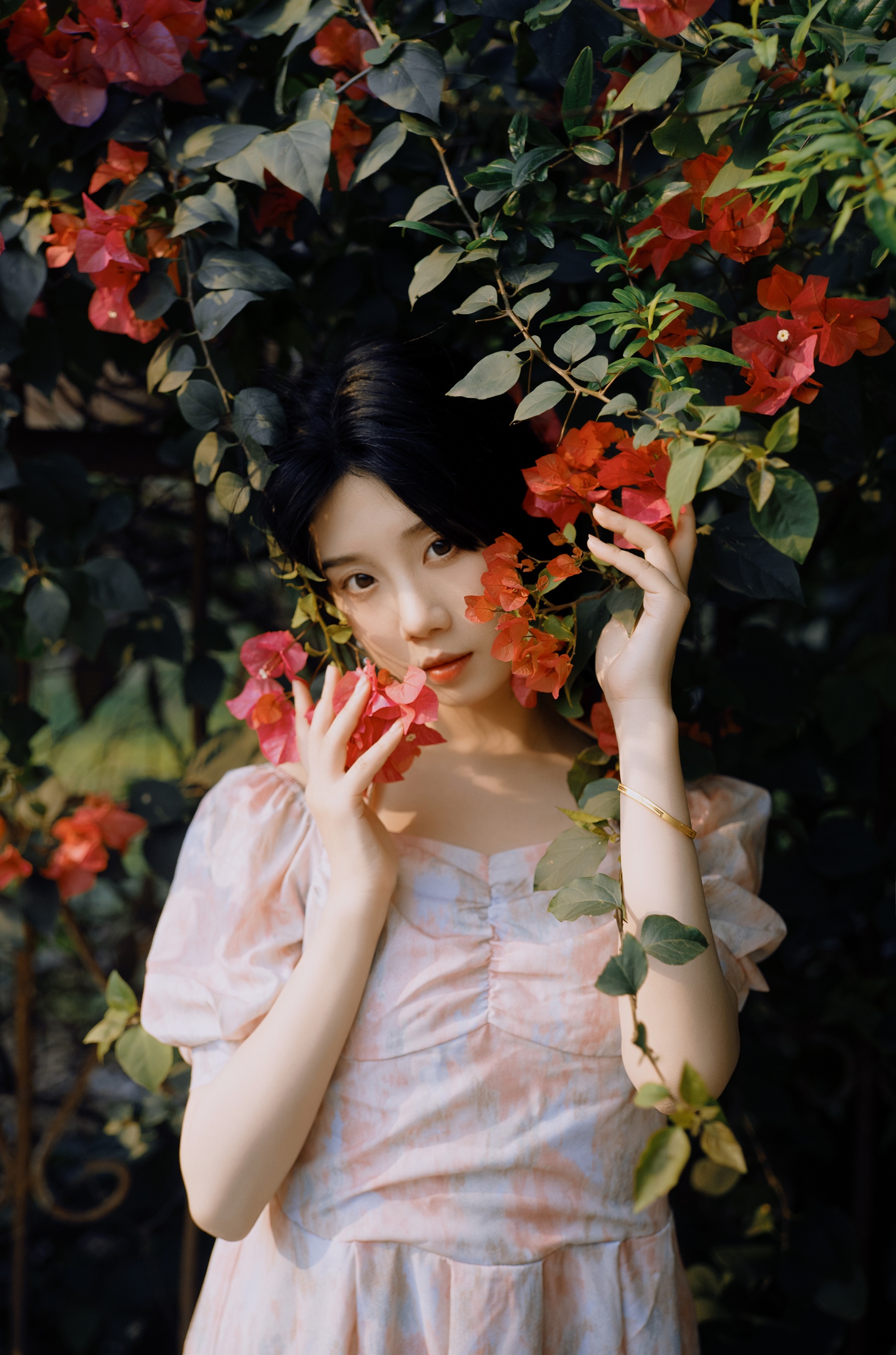 春语姑娘 紫卿