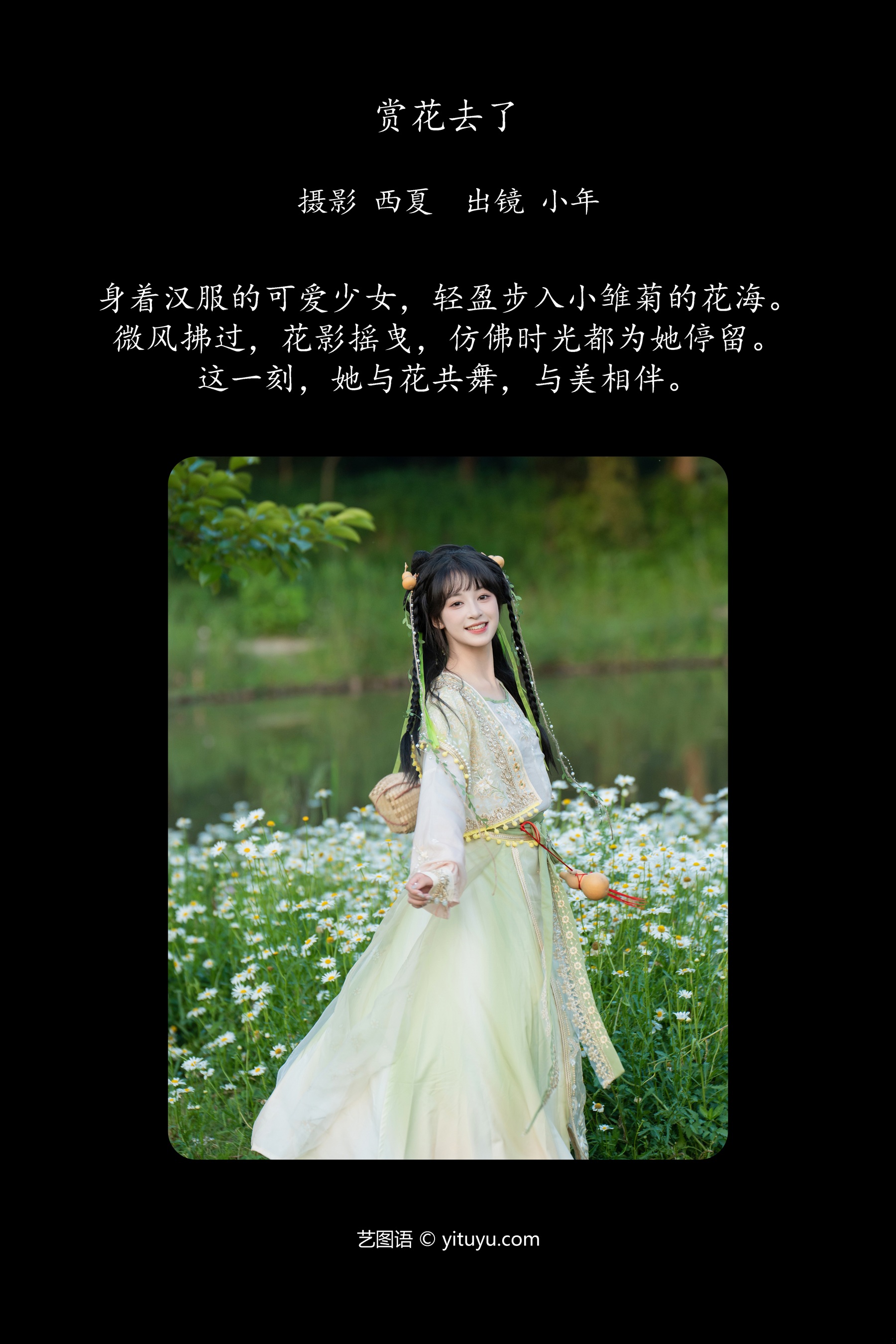 赏花去了 夏芋小年