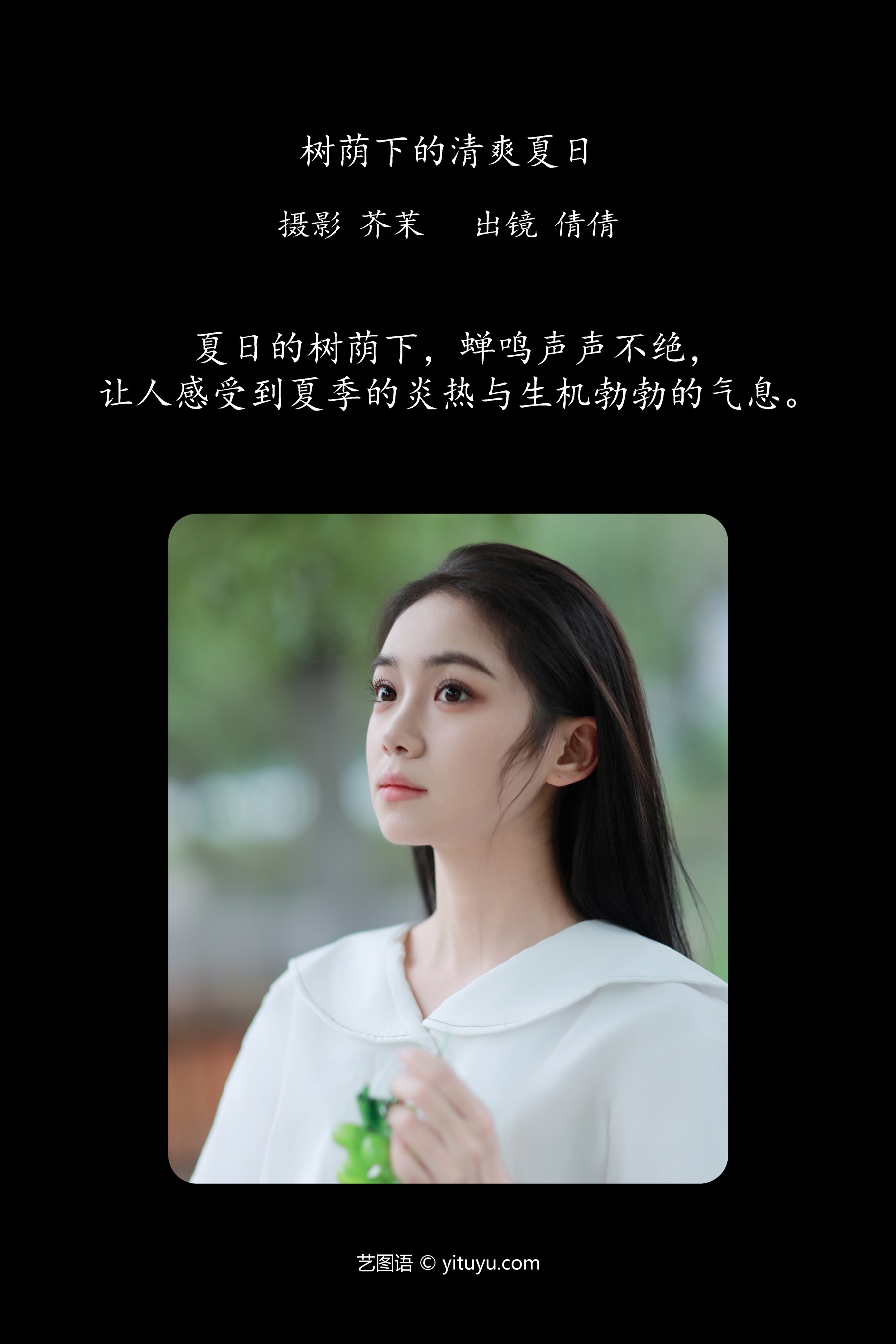 树荫下的清爽夏日 我不刷鸟