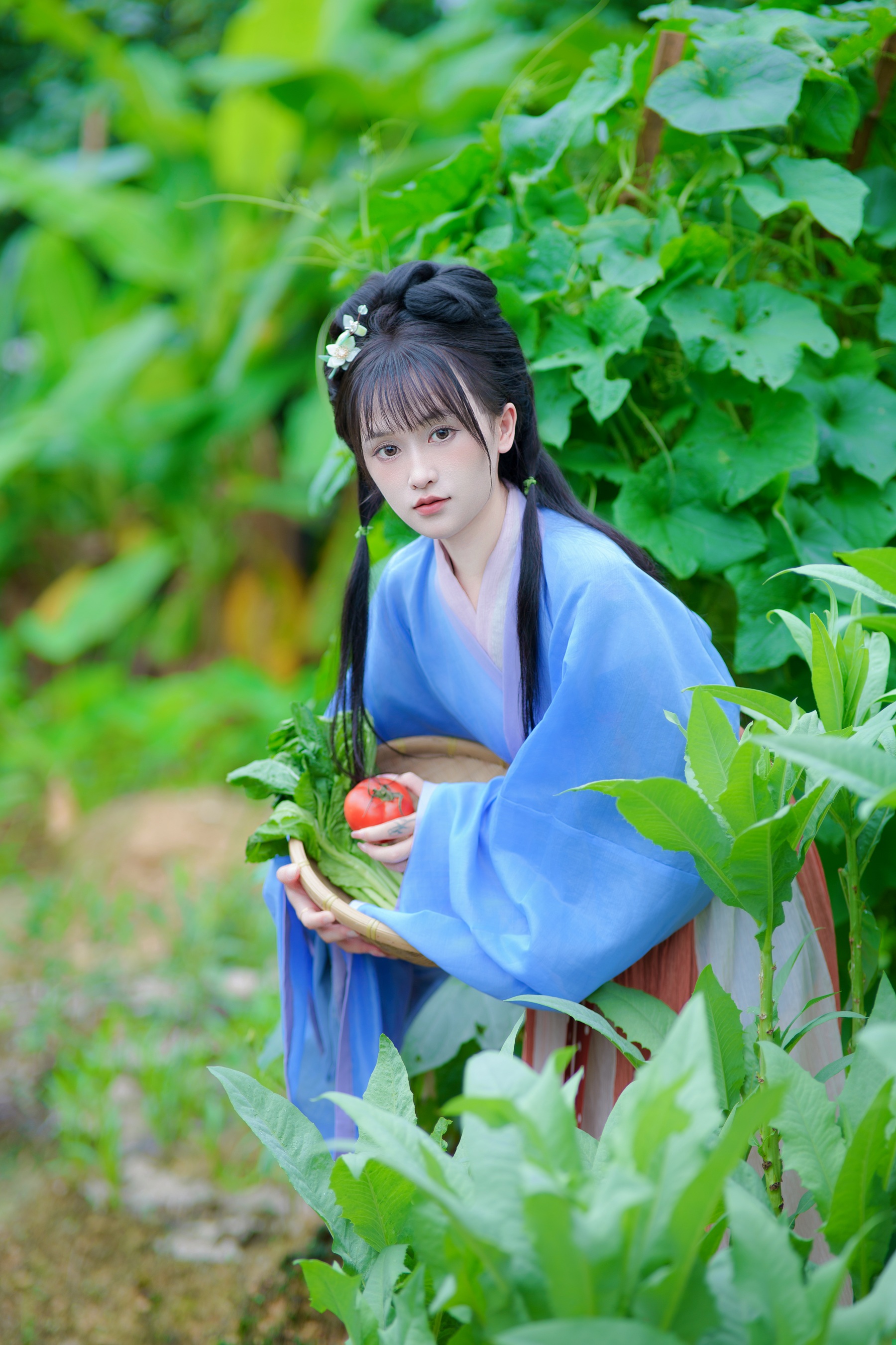 春日游 小小雨
