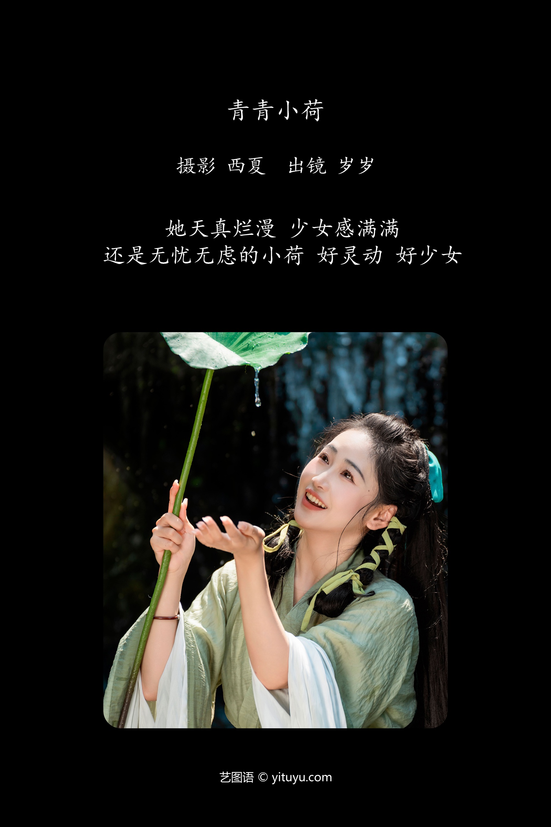 青青小荷 湫一只岁岁