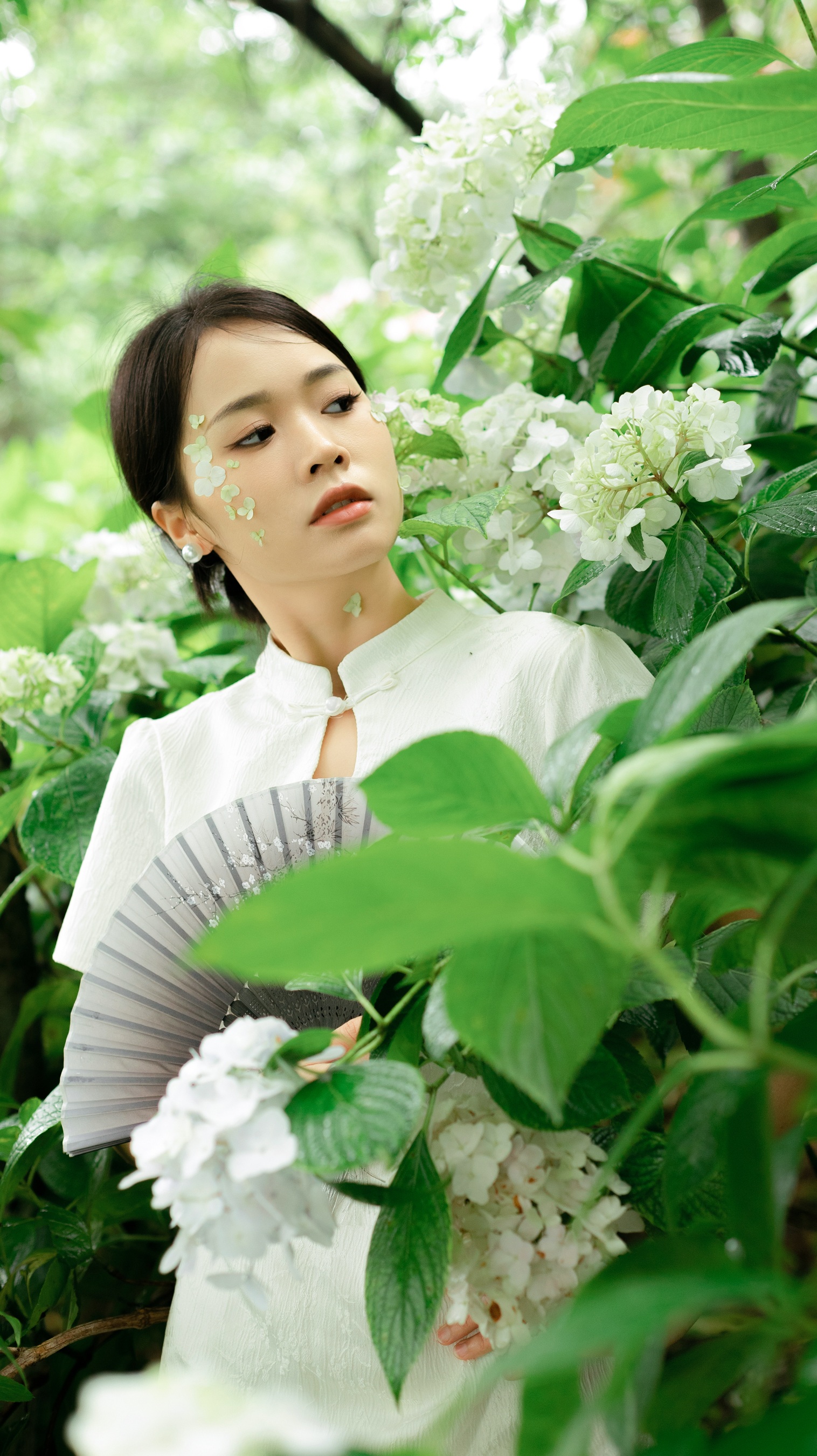 夏日染清凉 一