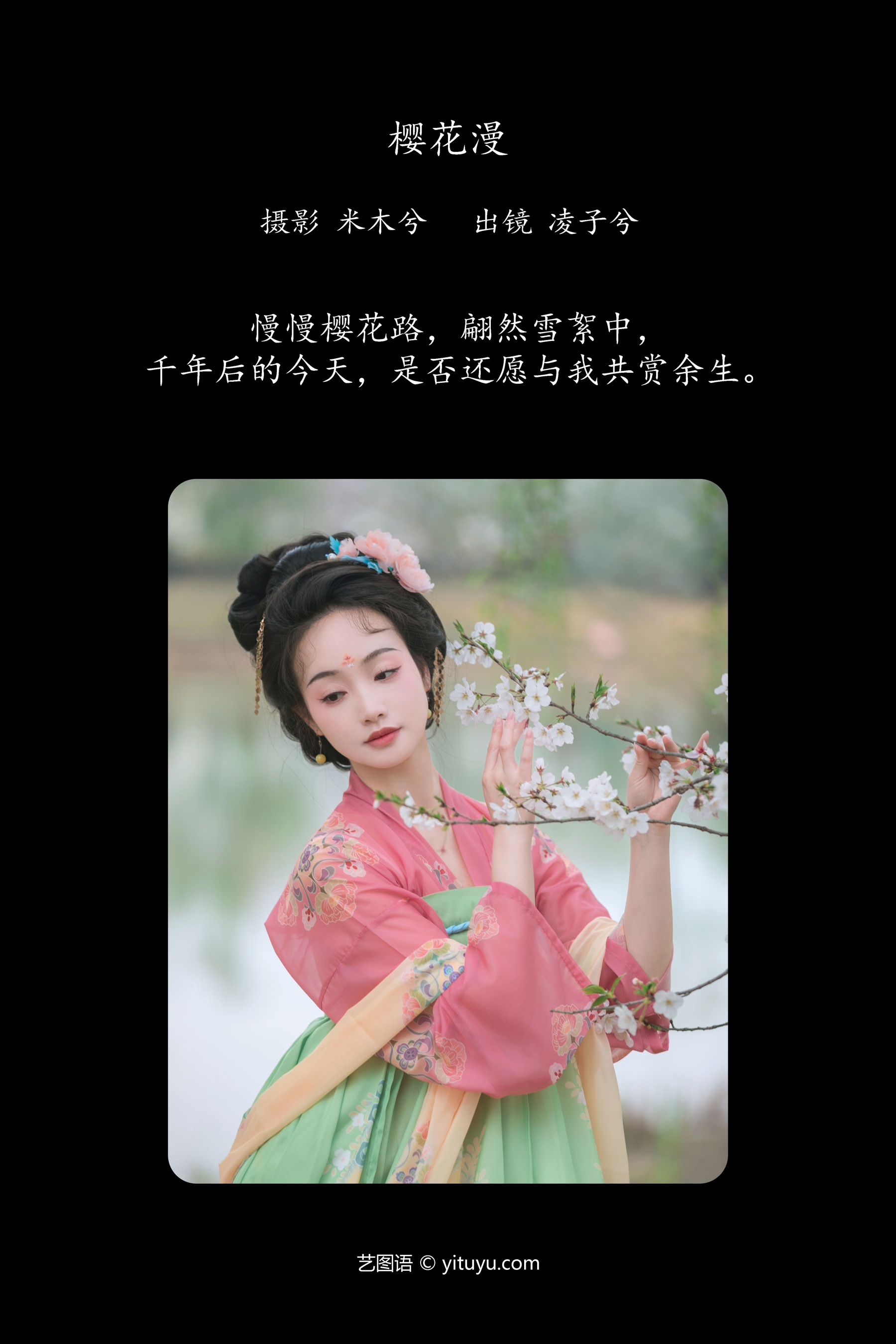 樱花漫 凌子兮