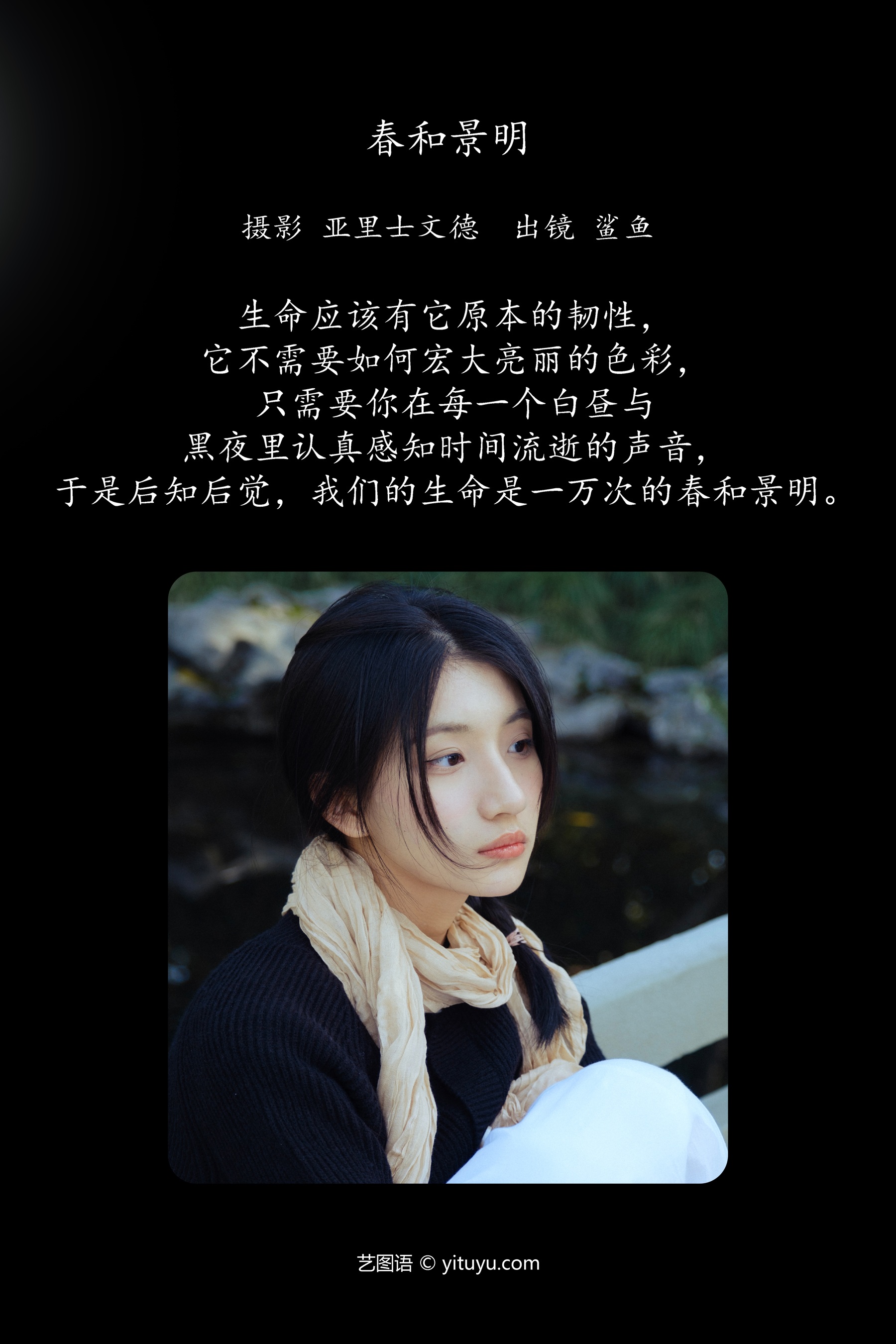 春和景明 鲨鲨帅帅鱼