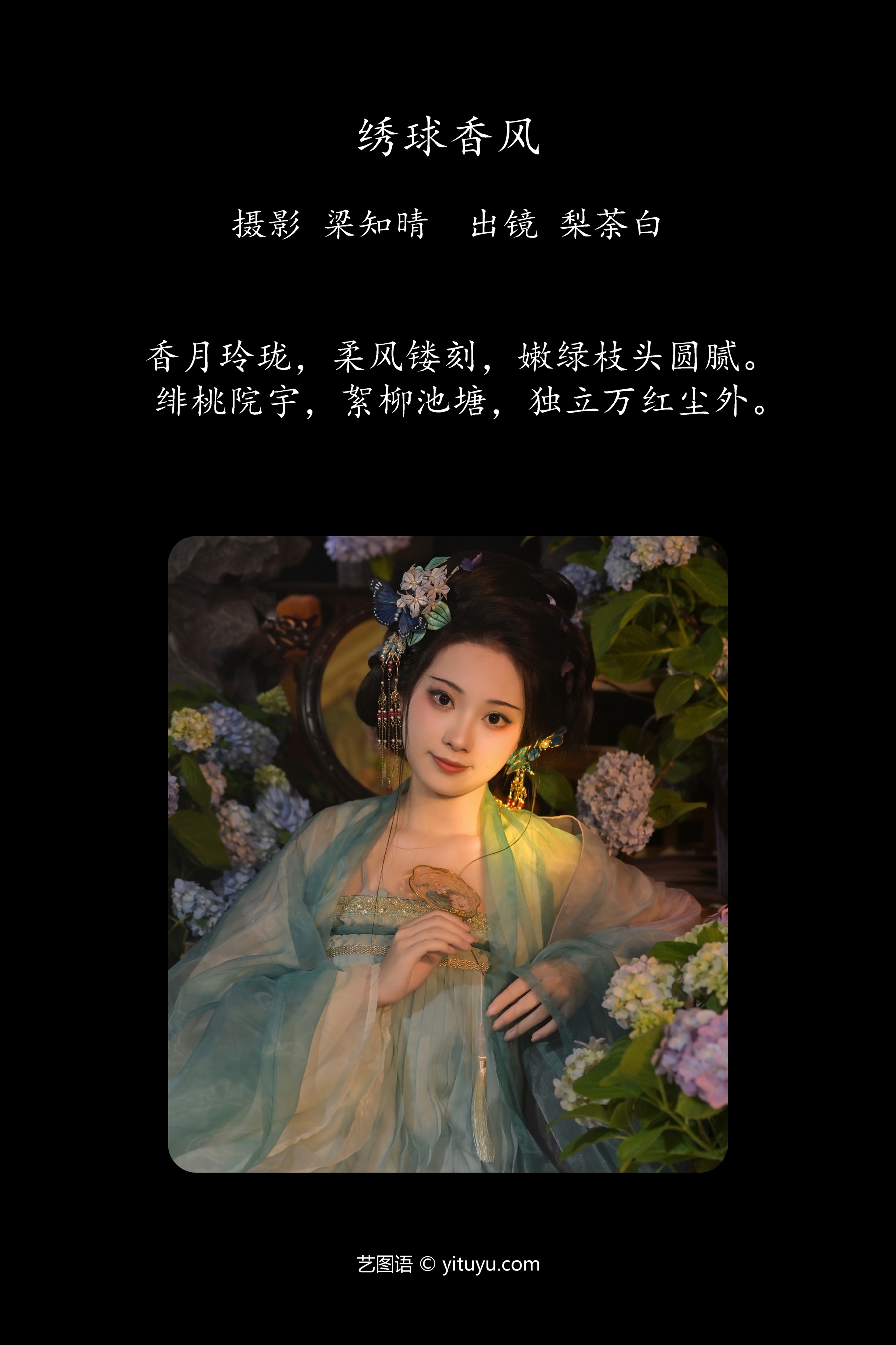 绣球香风 梨荼白