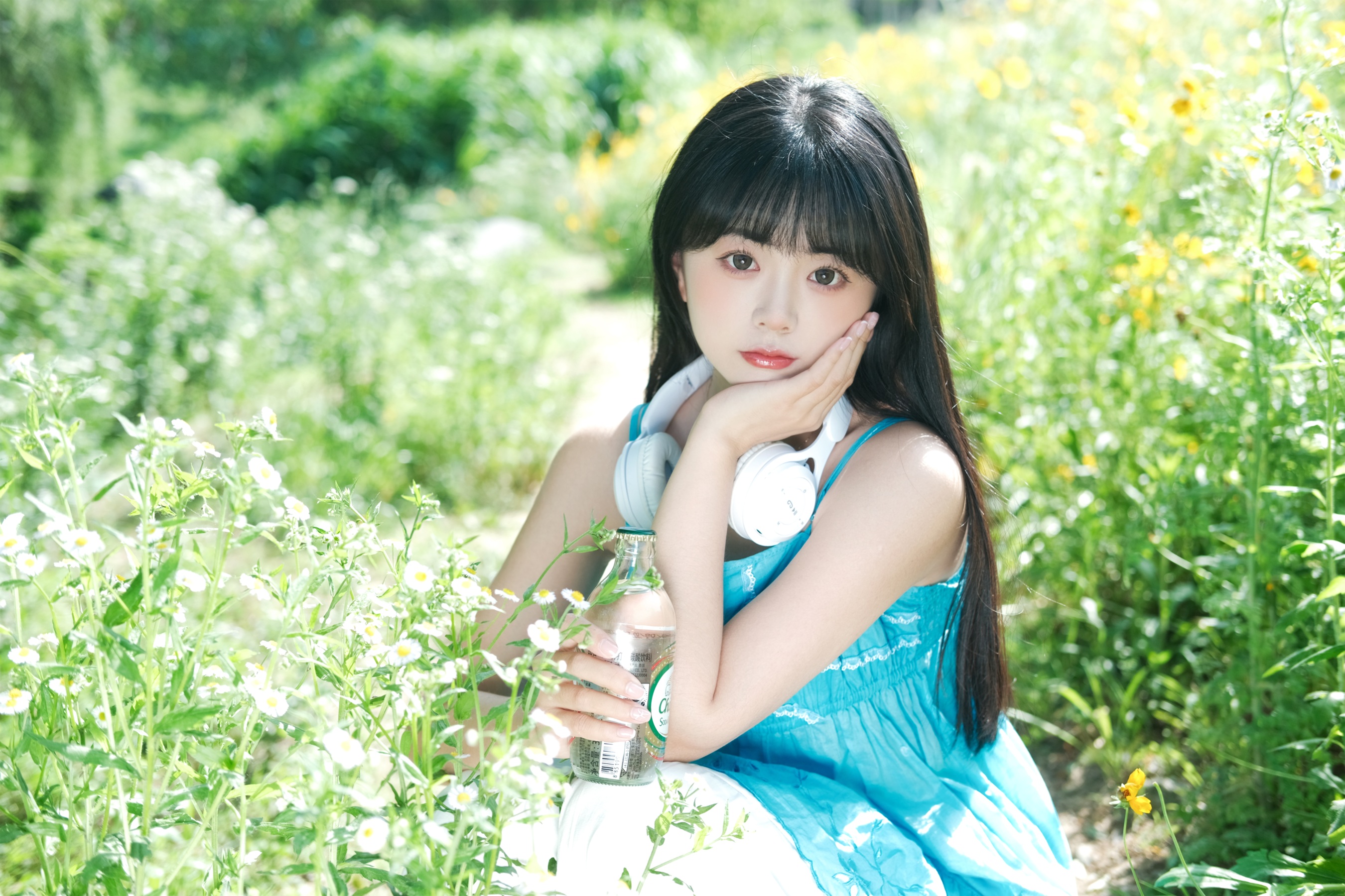 雏菊少女 一只暖暖