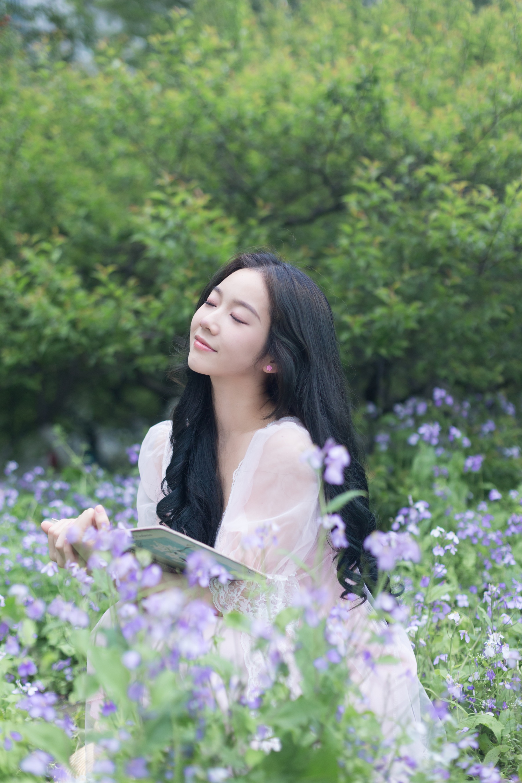二月兰的春日 戈曼妮Nini