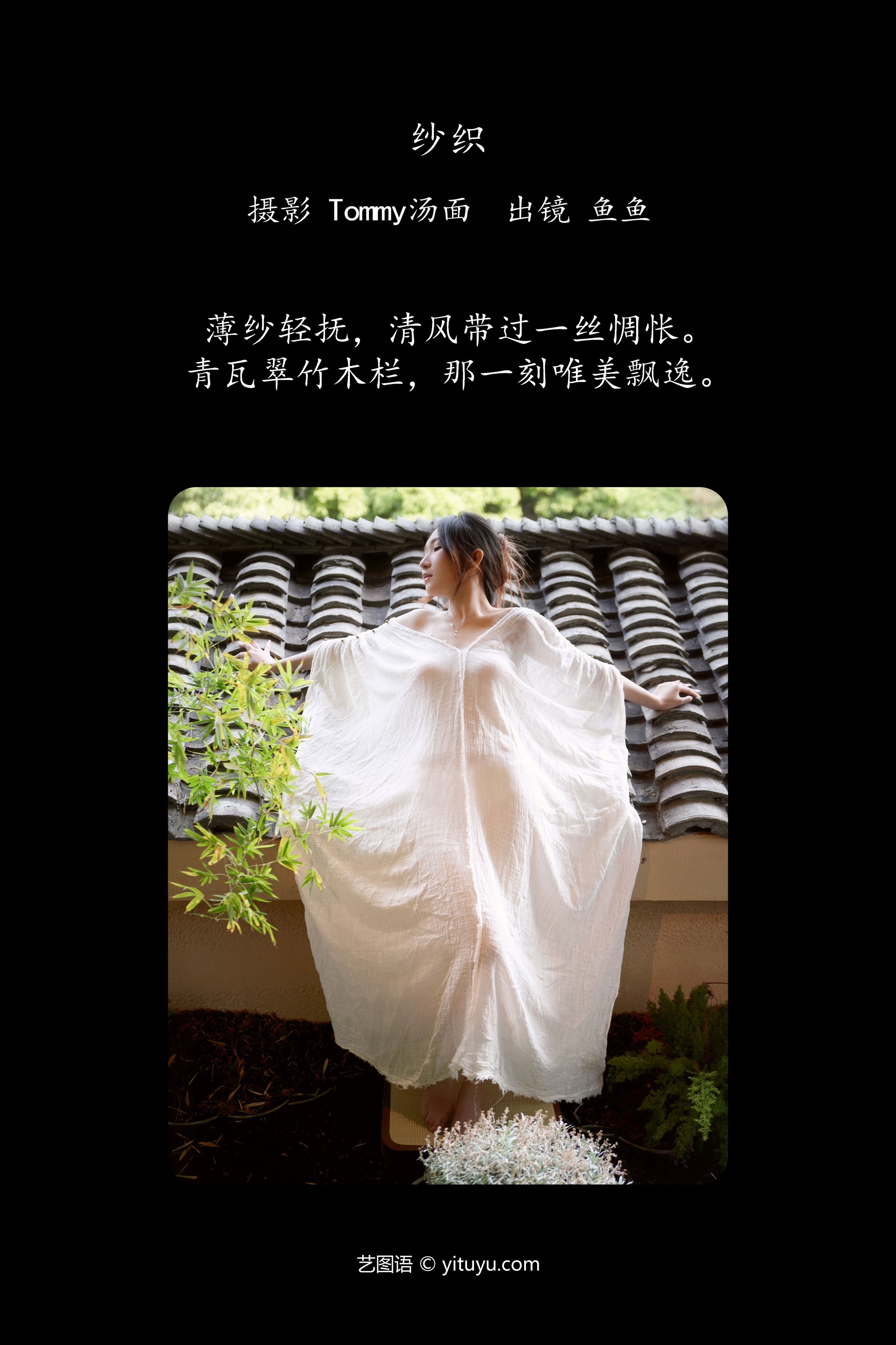 纱织 鱼鱼