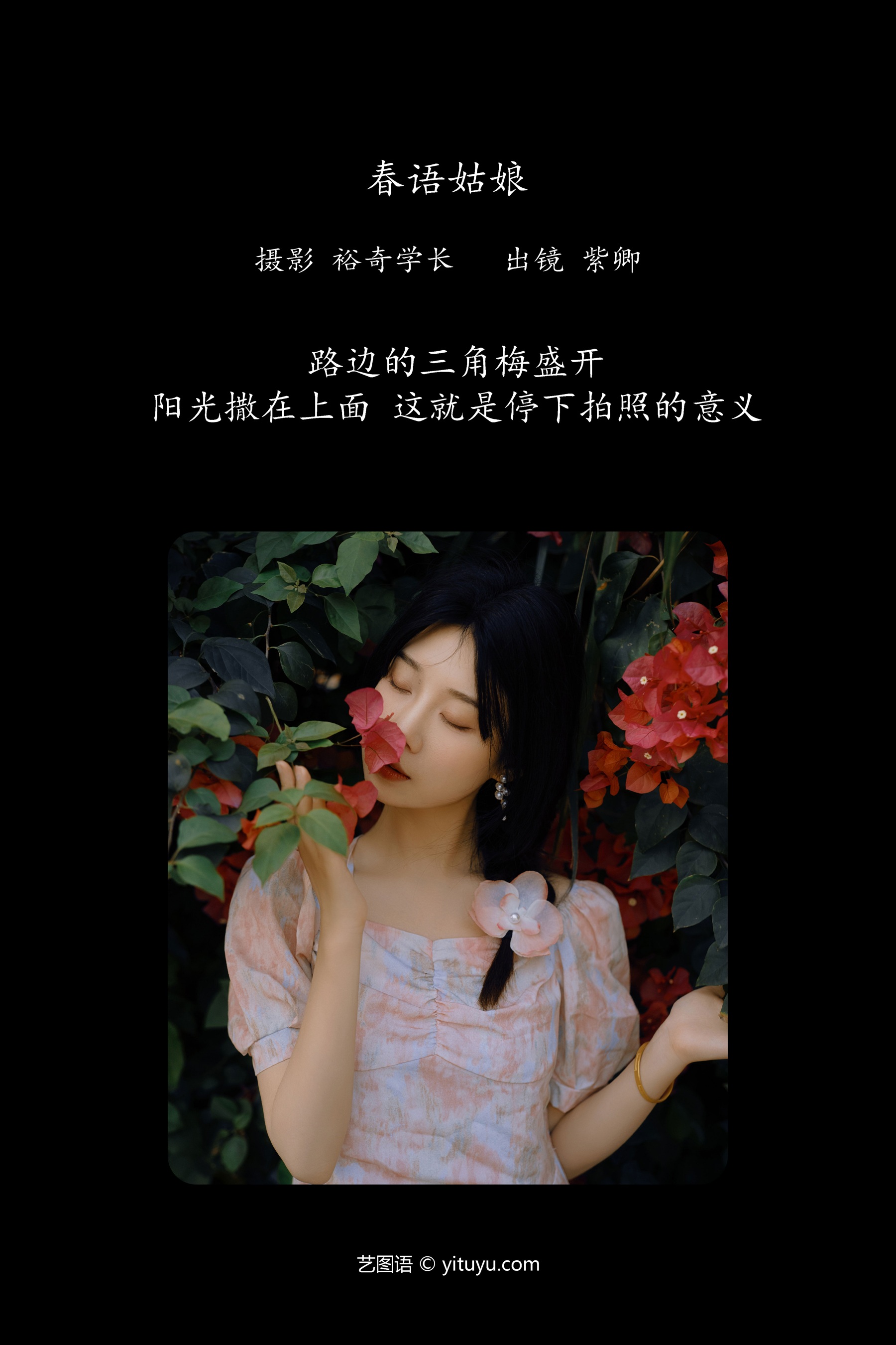 春语姑娘 紫卿