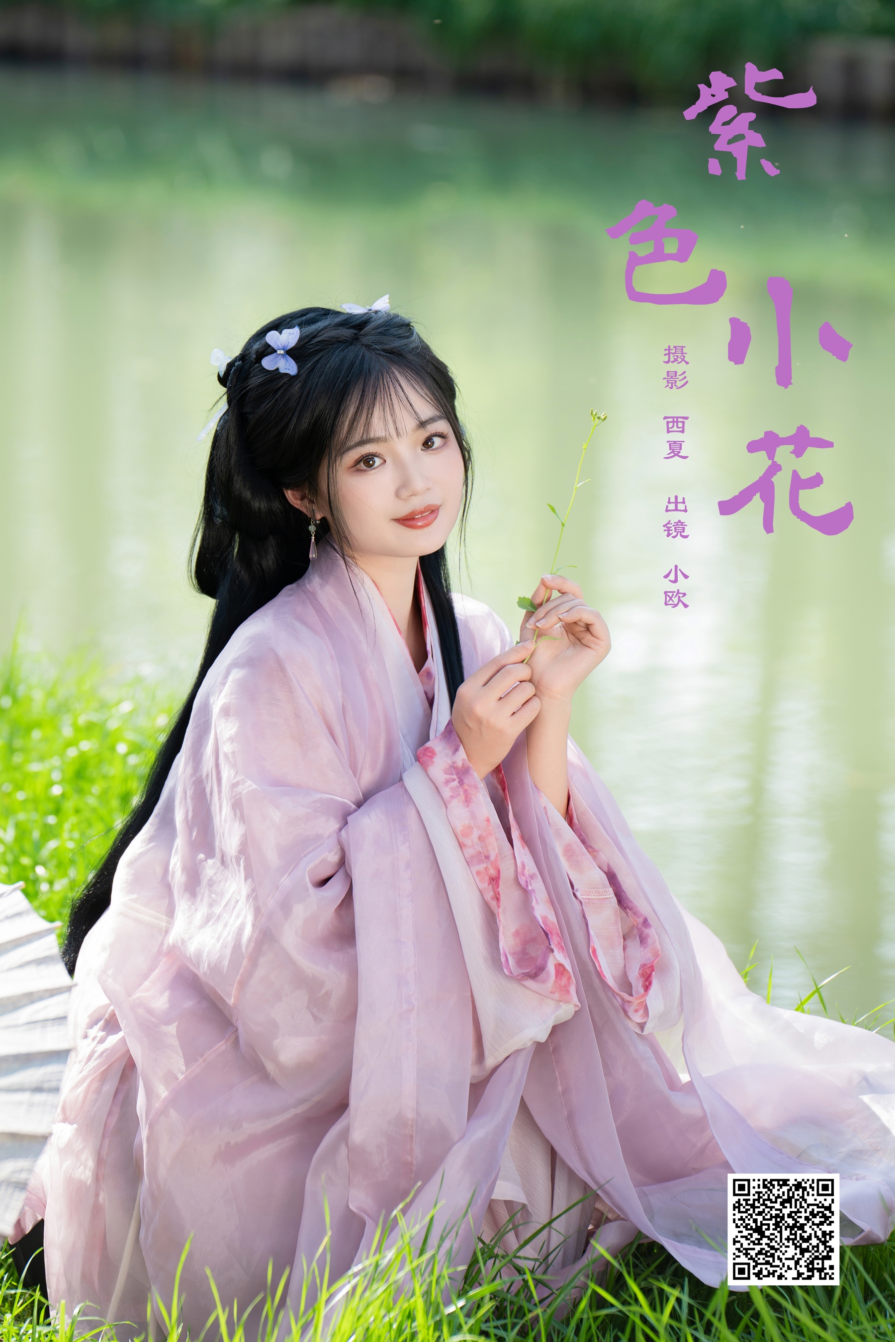 紫色小花 小欧O