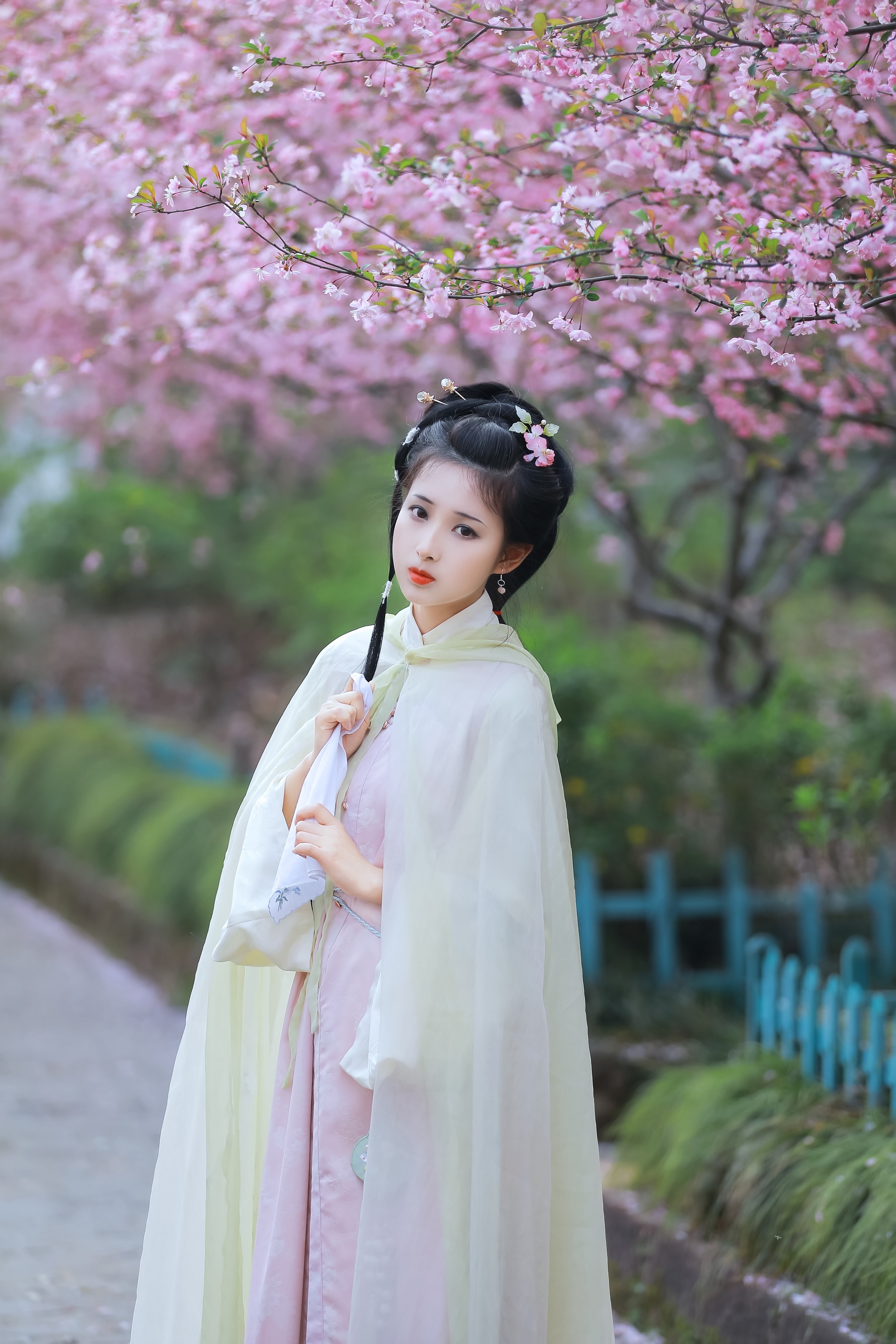 葬花吟 酒酿圆子