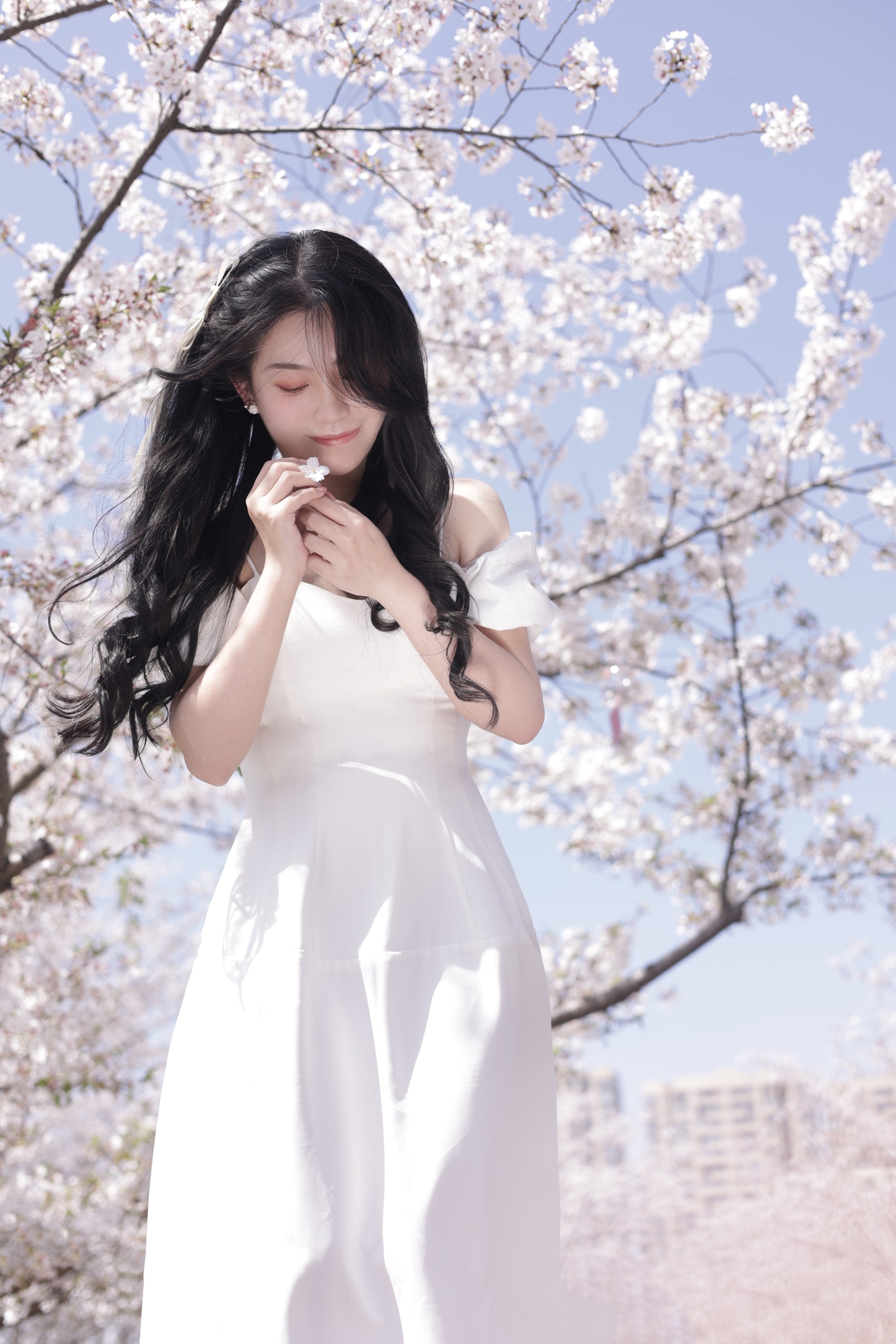 春有约 静静