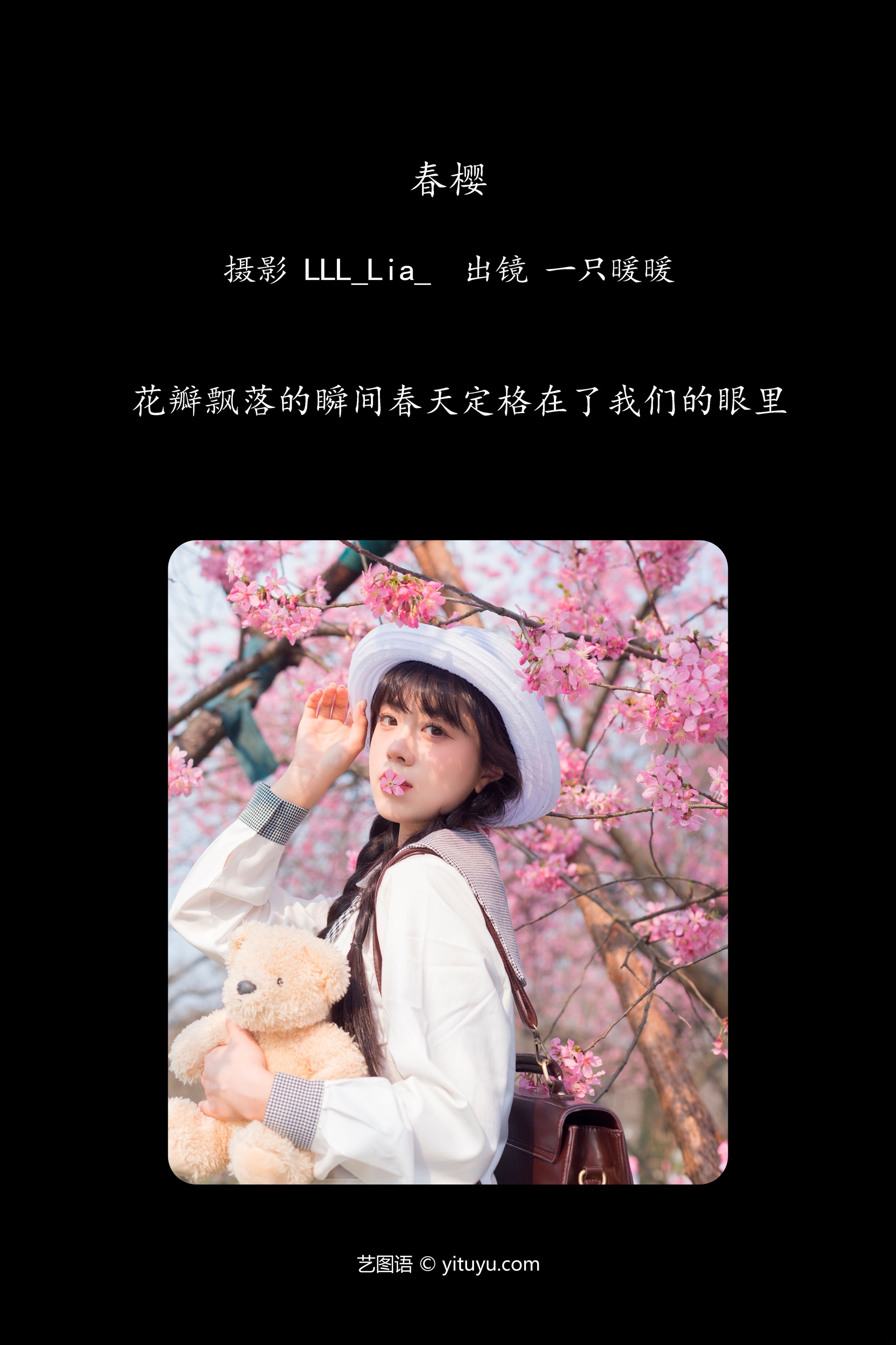 春樱 一只暖暖