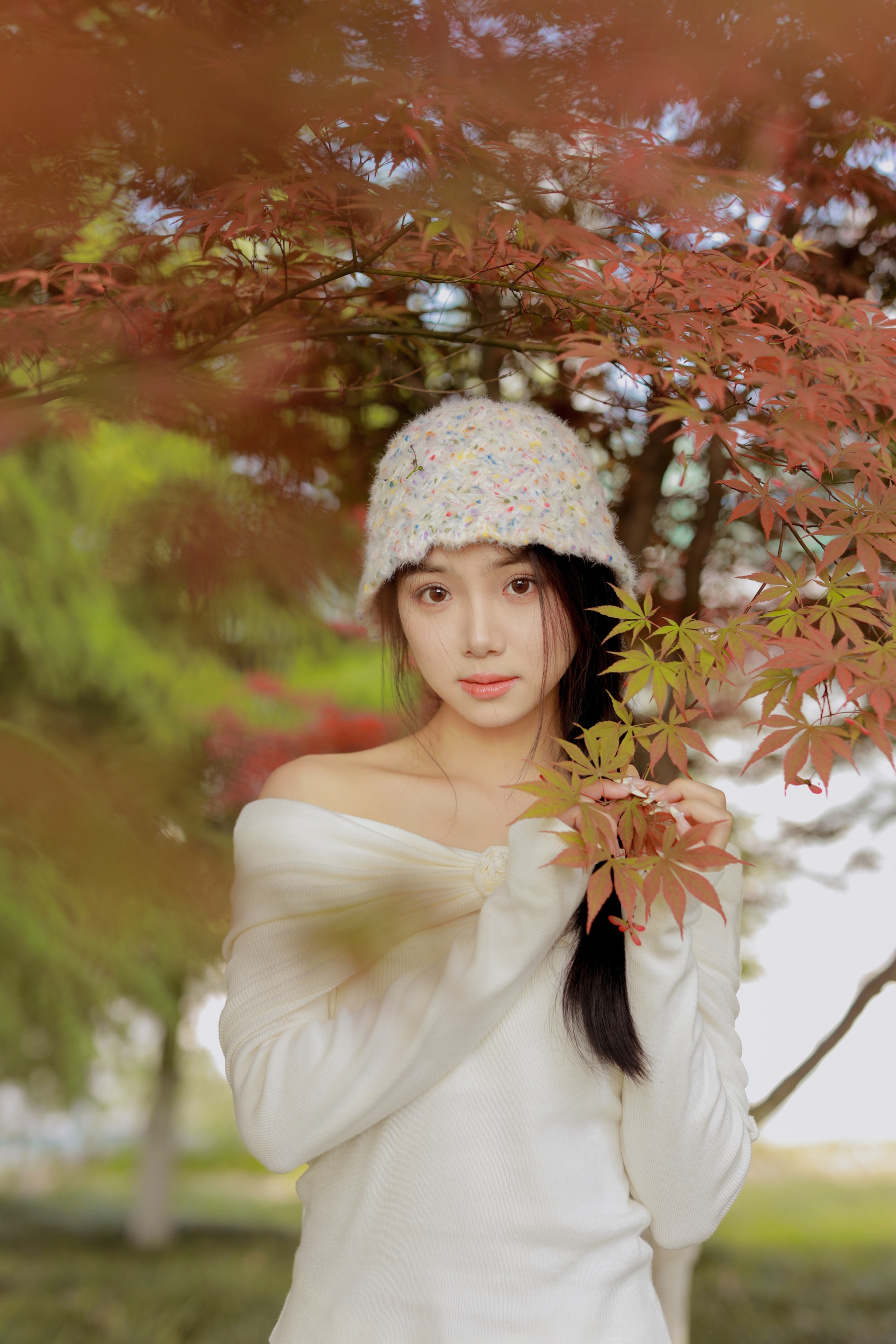 红叶季节 我不刷鸟