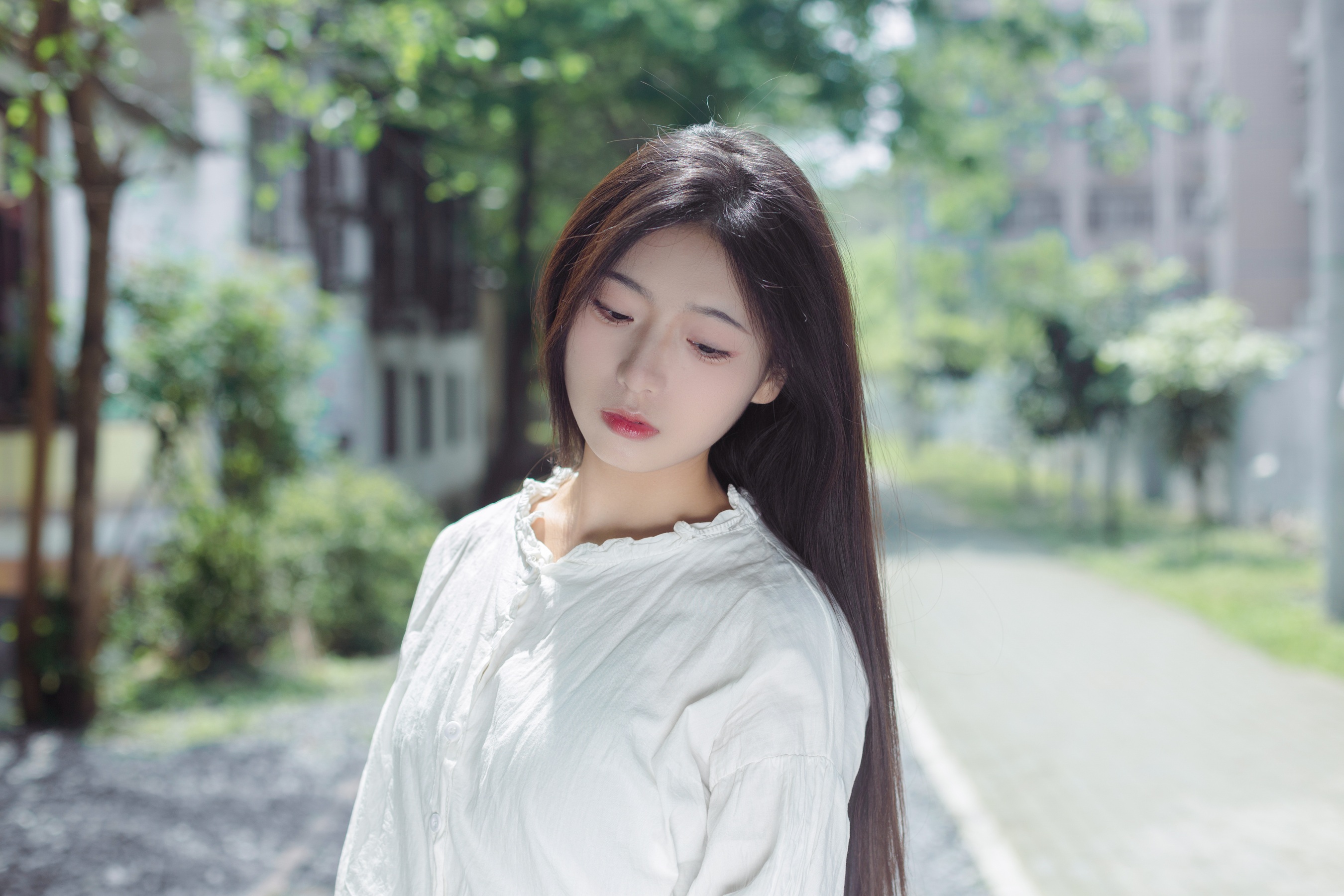 春天和七里香 木柚柚