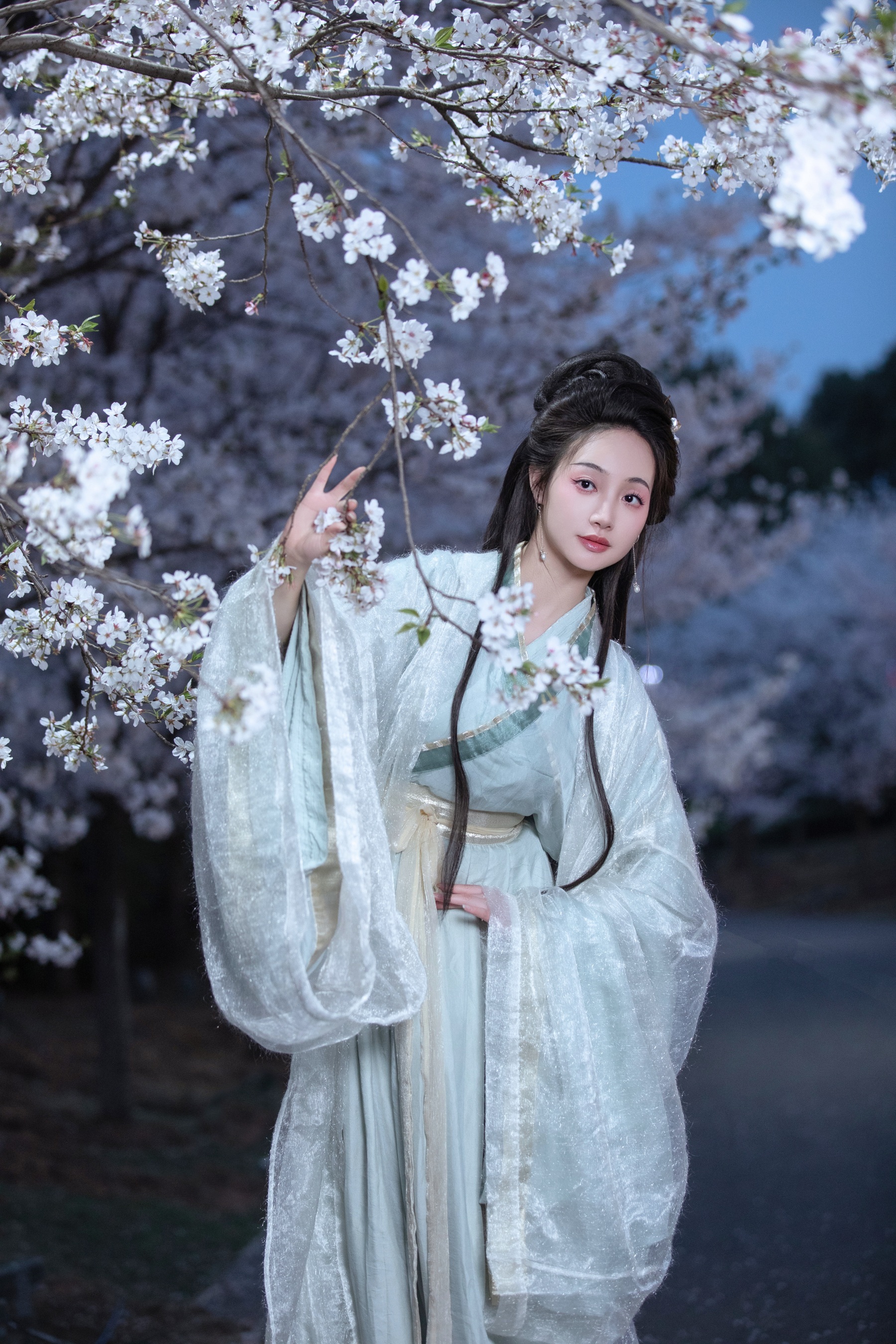 夜樱 凌子兮