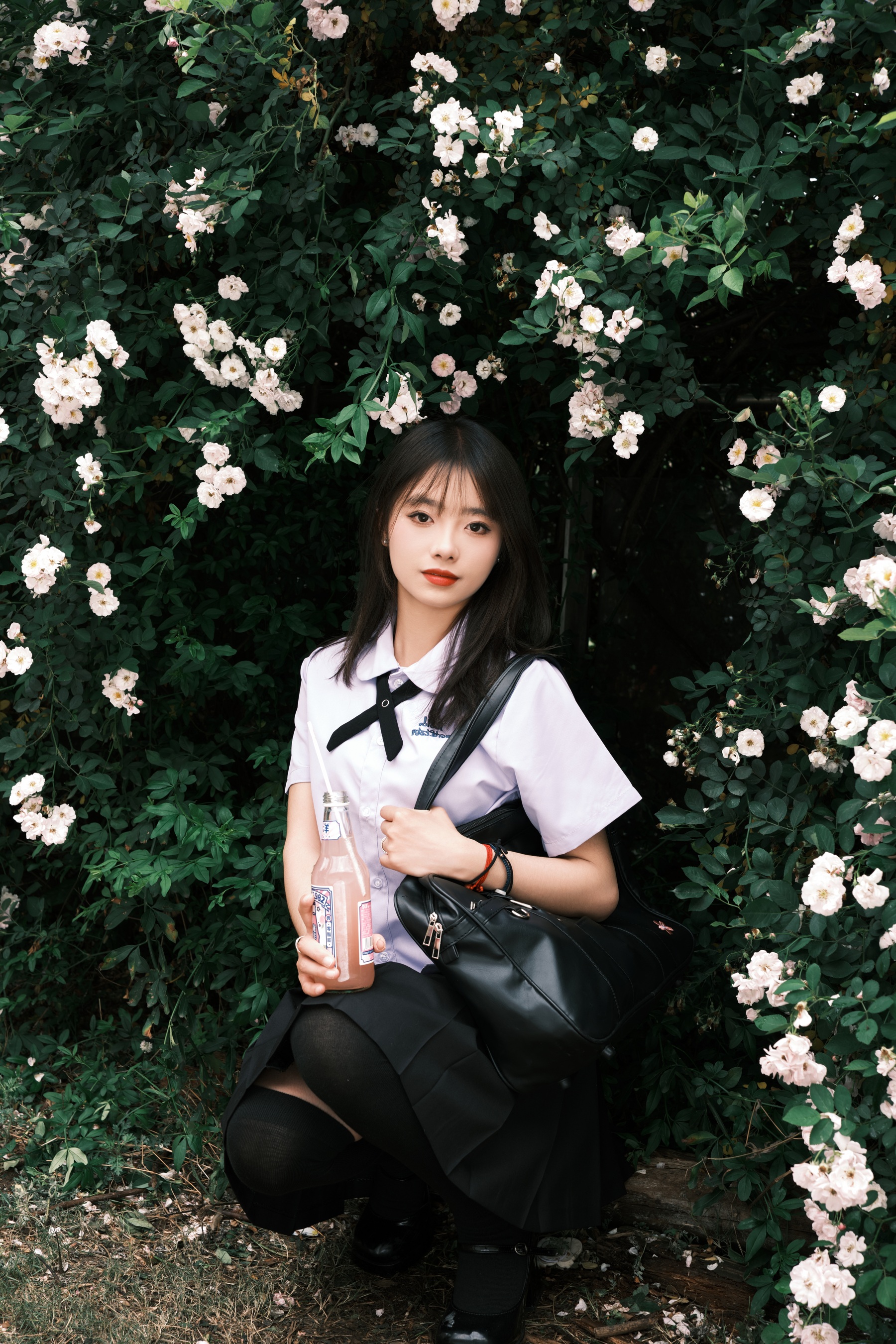 蔷薇少女 叶耶耶耶耶