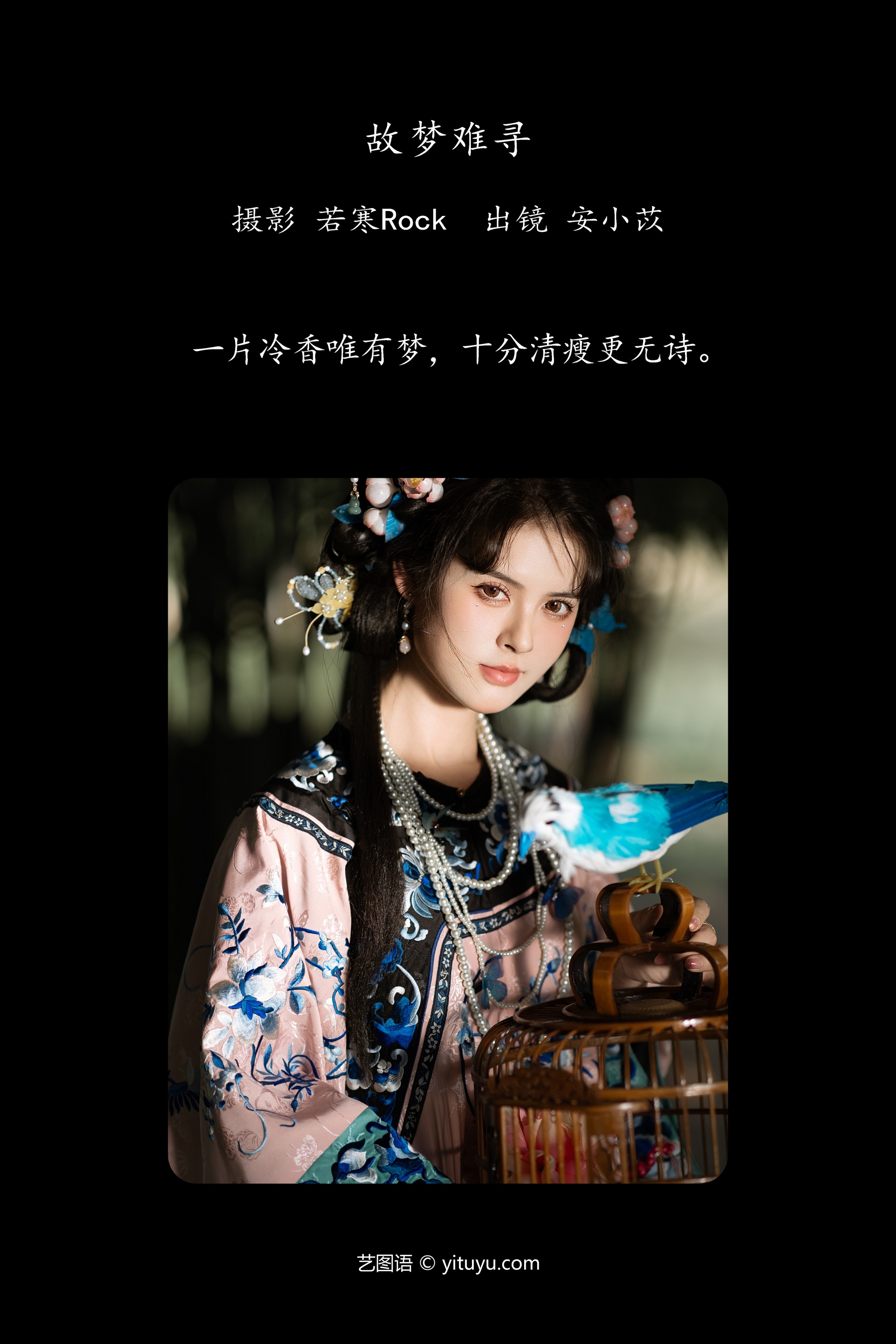 故梦难寻 安小苡