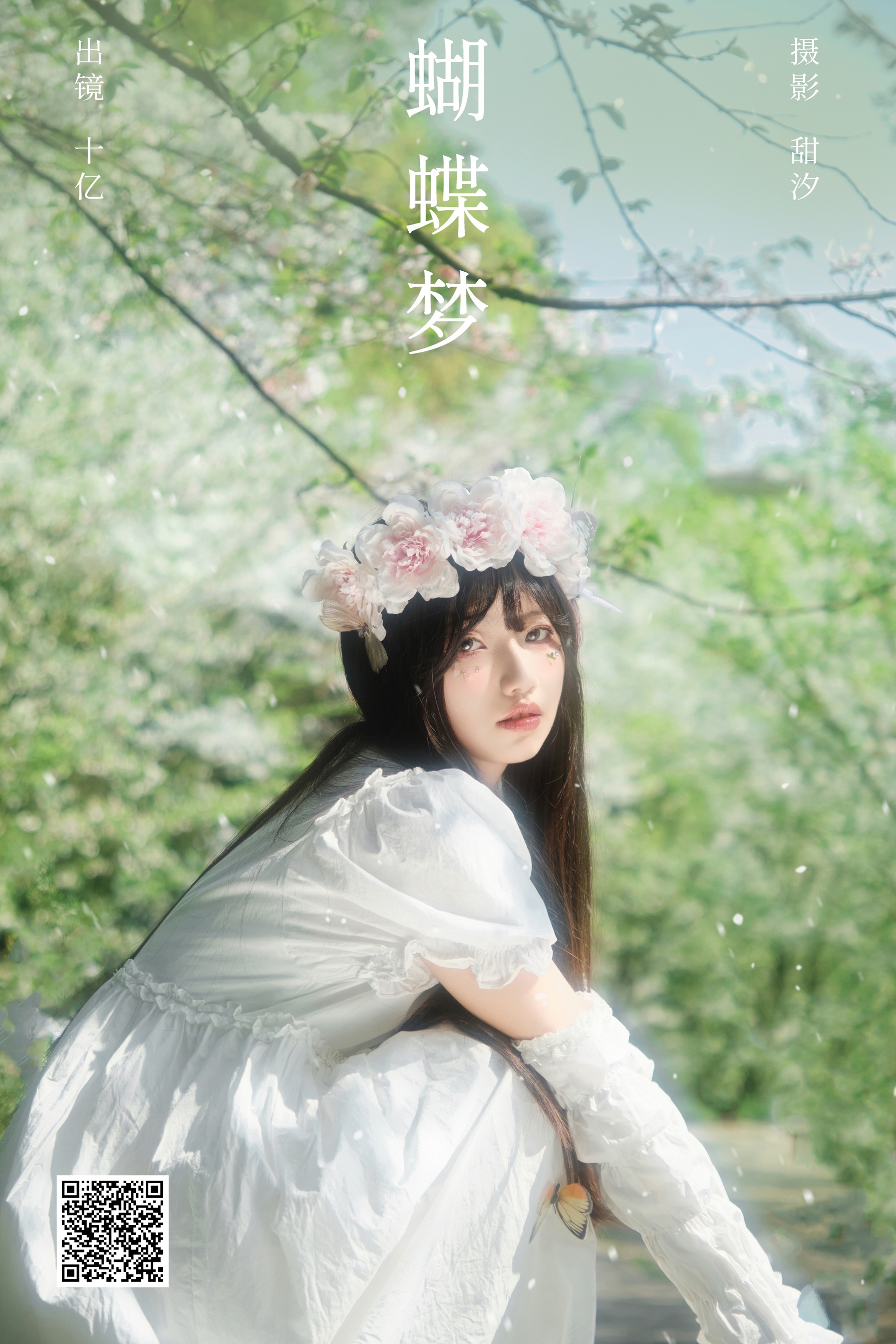 蝴蝶梦 十亿