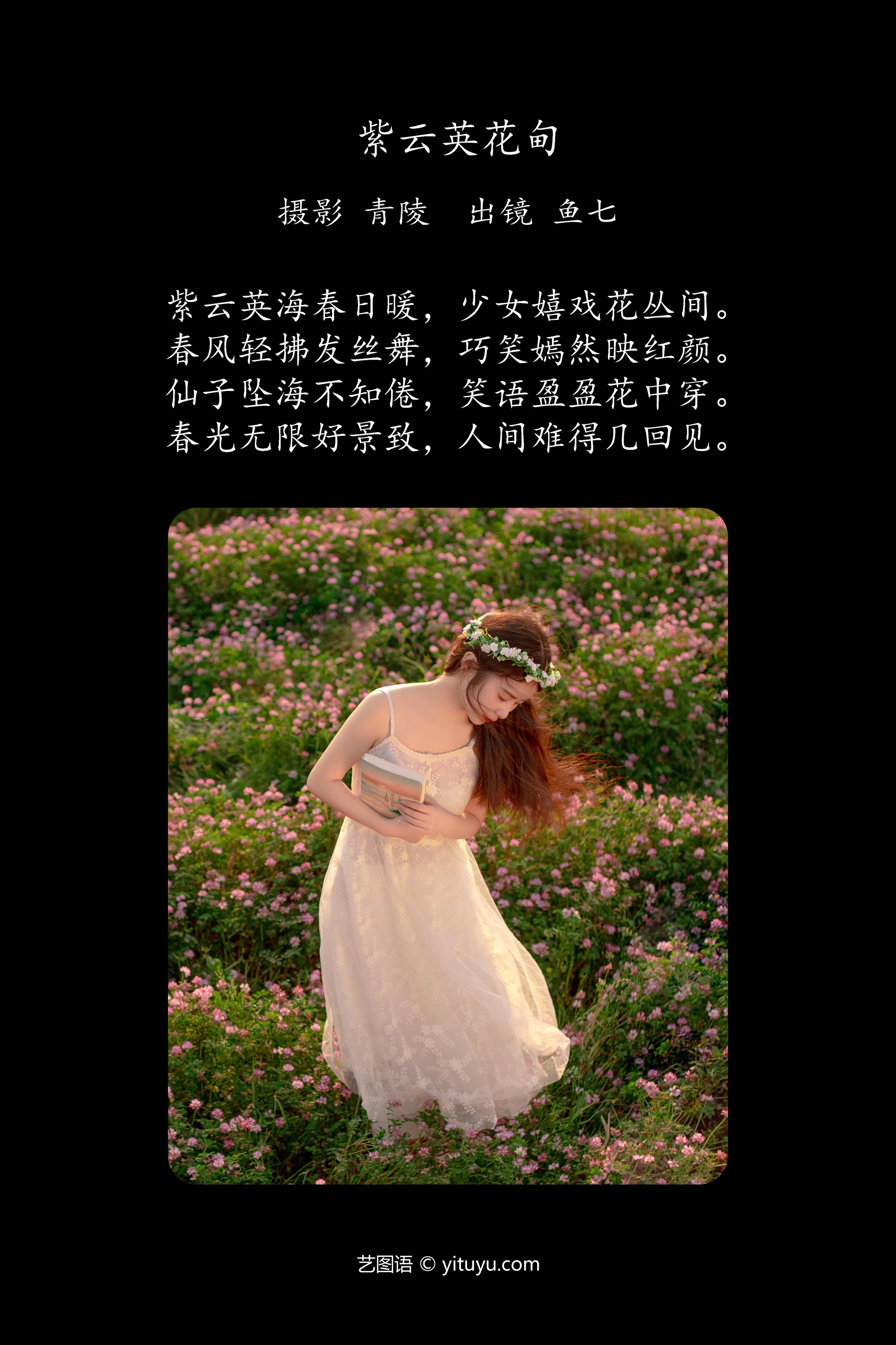 紫云英花甸 鱼七