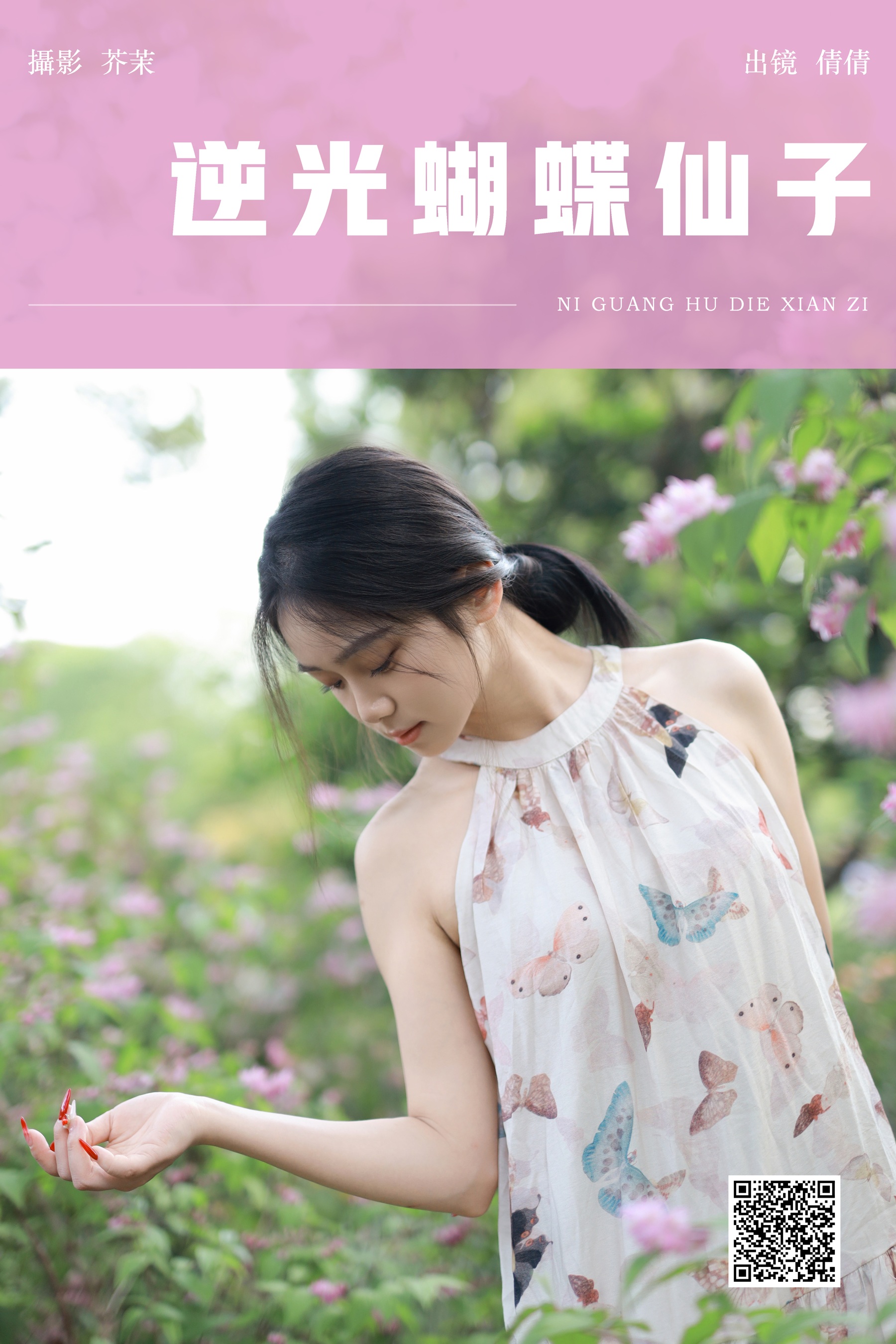 逆光蝴蝶仙子 我不刷鸟