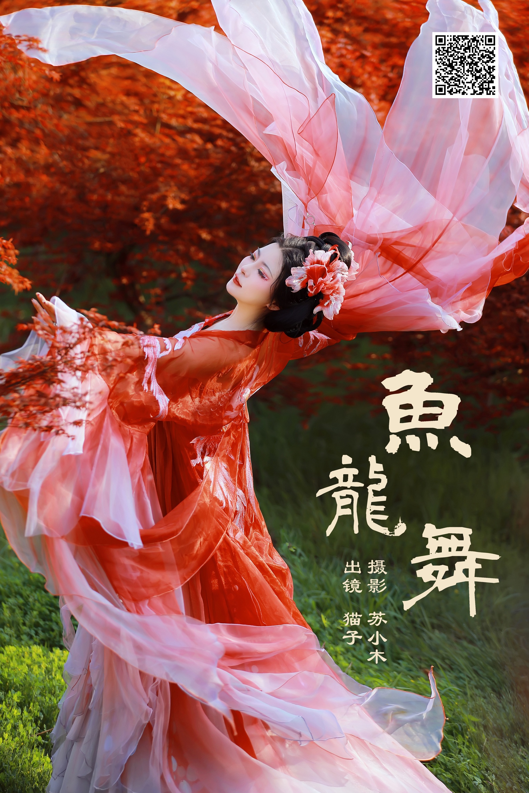 鱼龙舞 猫子子