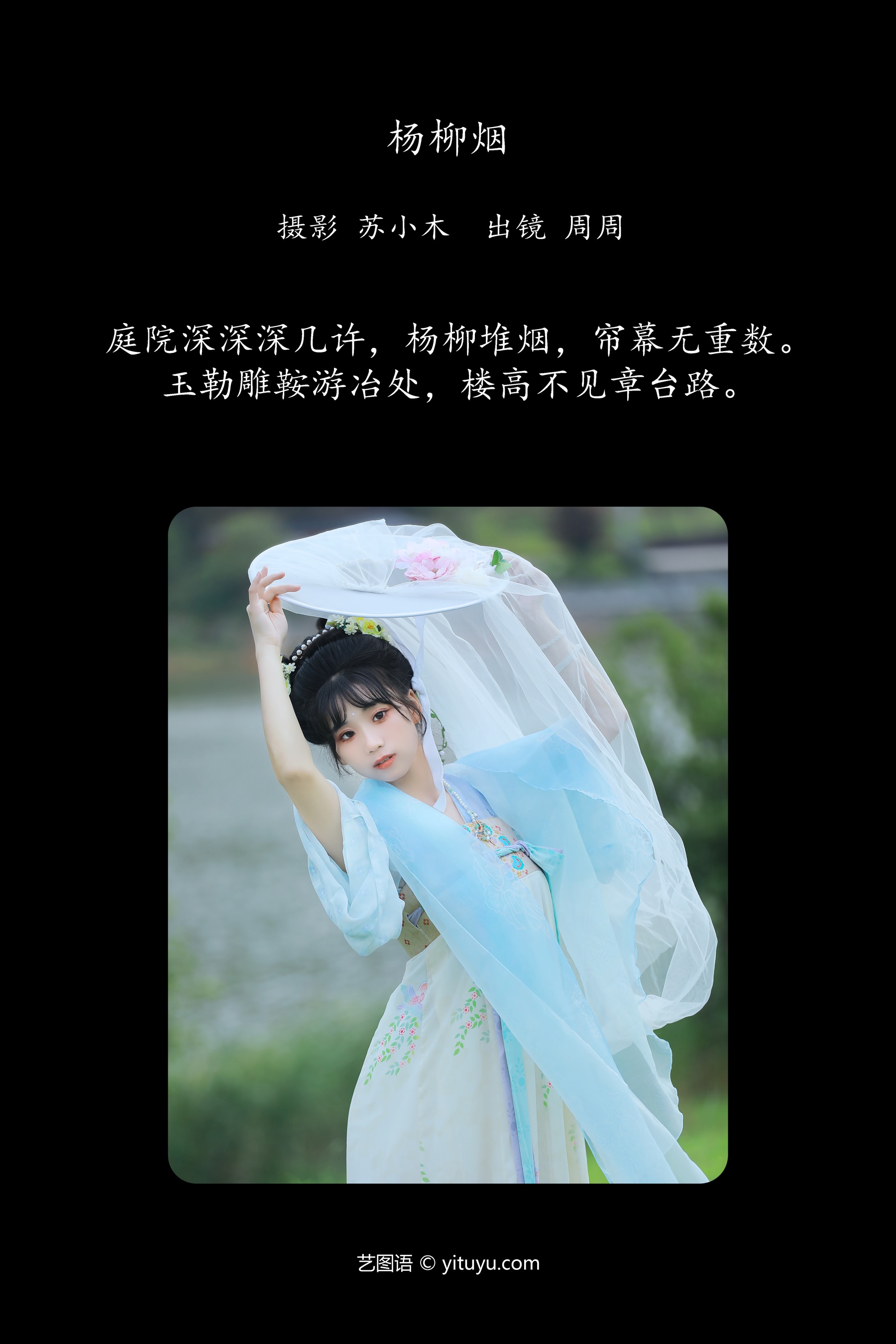 杨柳烟 周周Ay