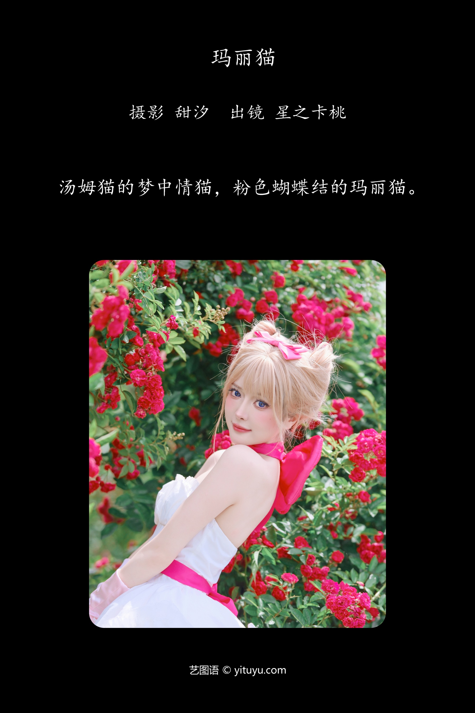 玛丽猫 星之卡桃