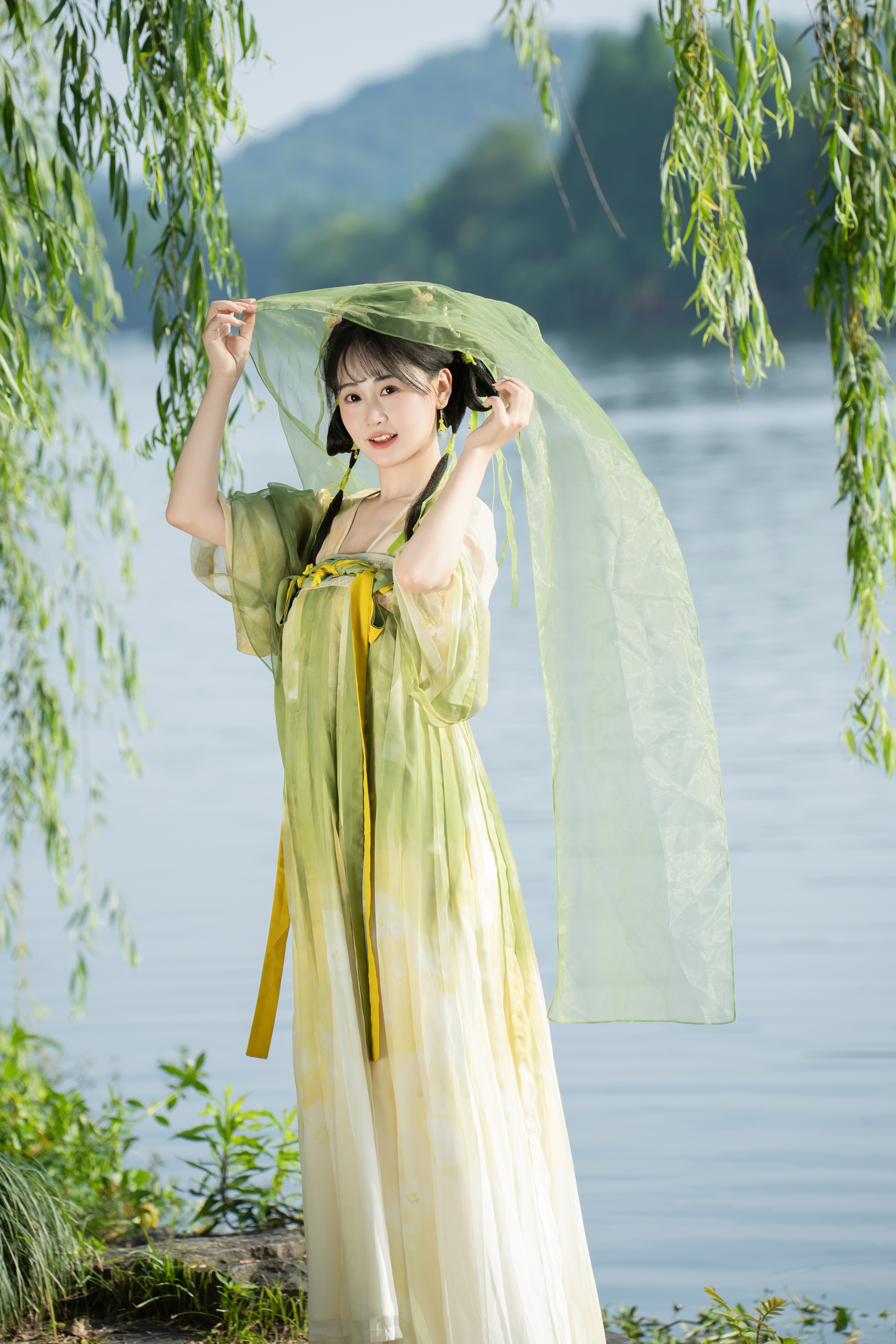 杨柳依依 湫一只岁岁