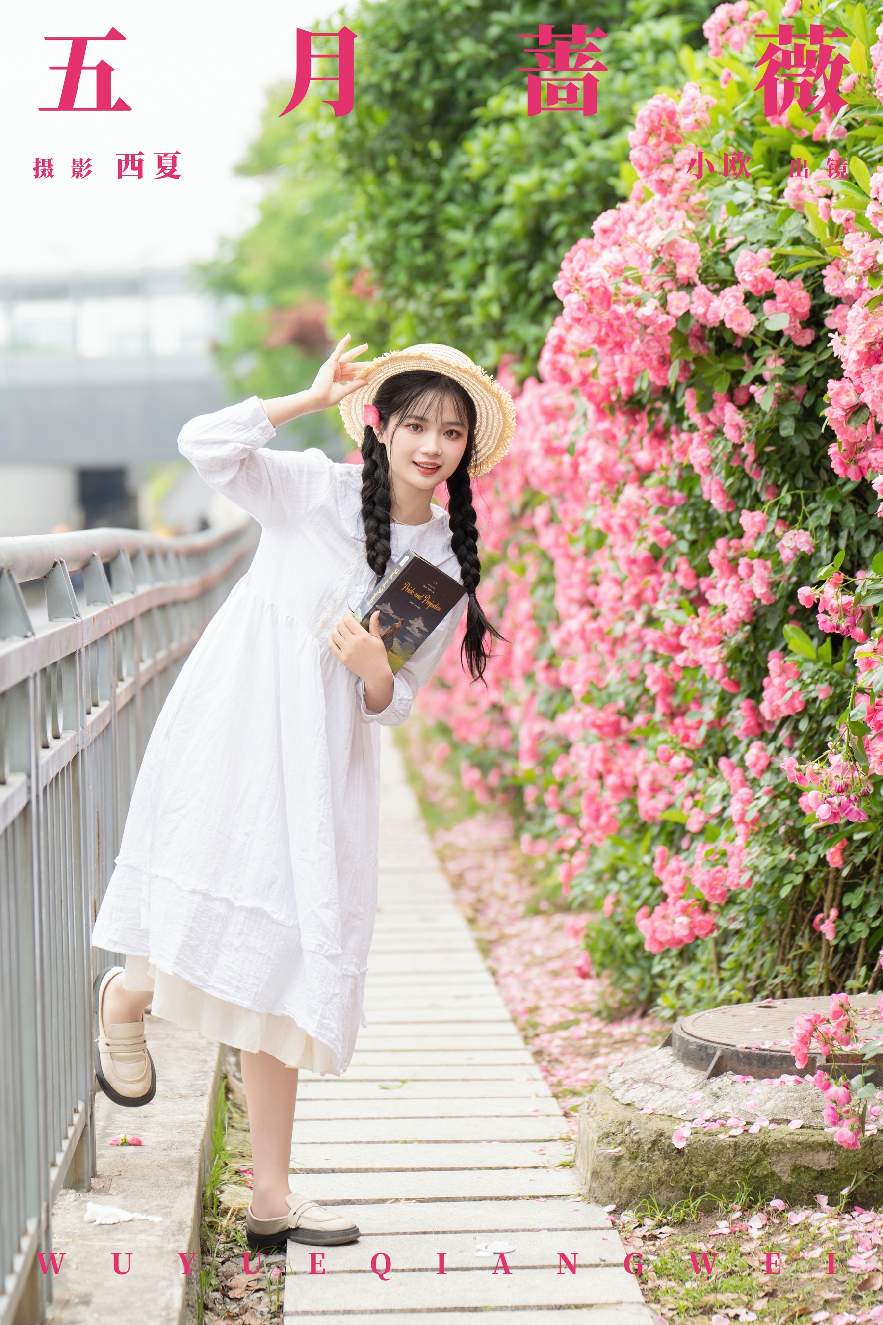 五月蔷薇 小欧O