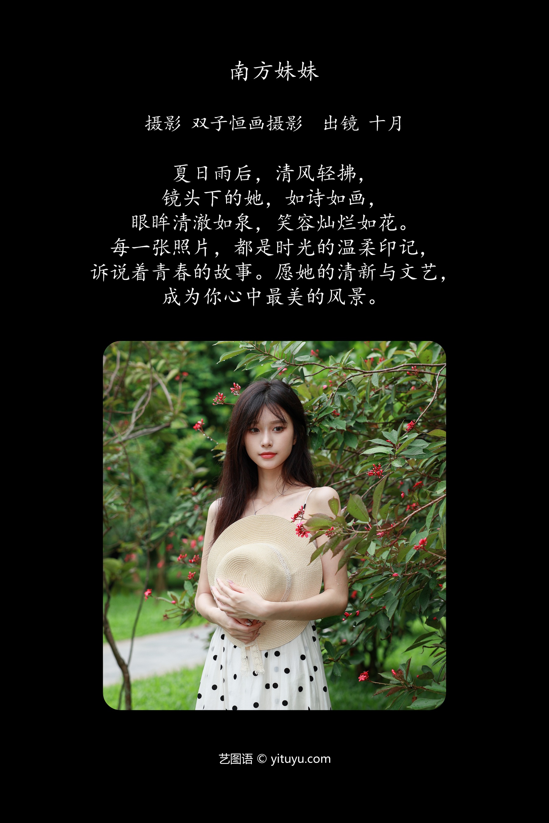 南方妹妹 小了个飞象