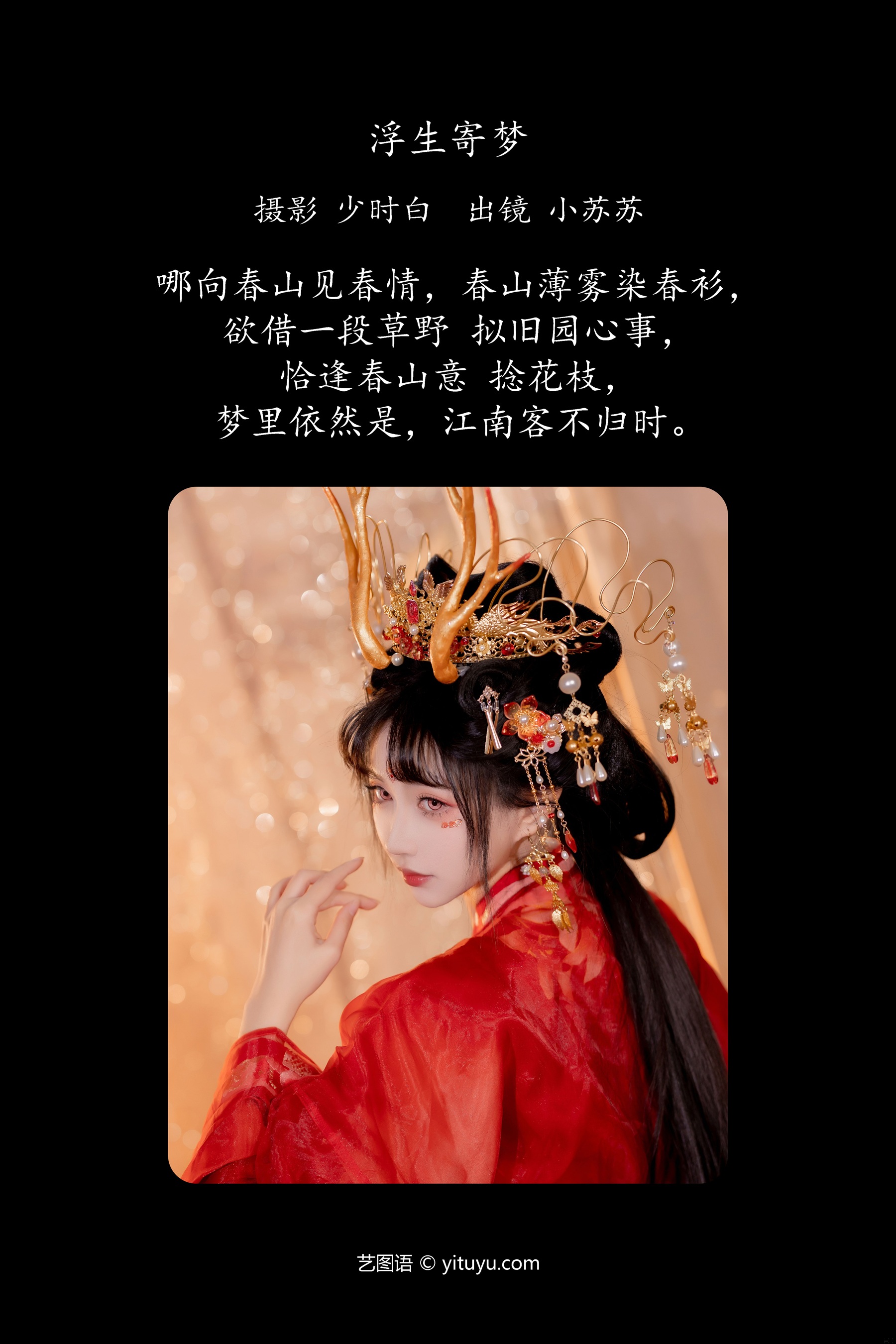浮生寄梦 绮罗生的小苏苏