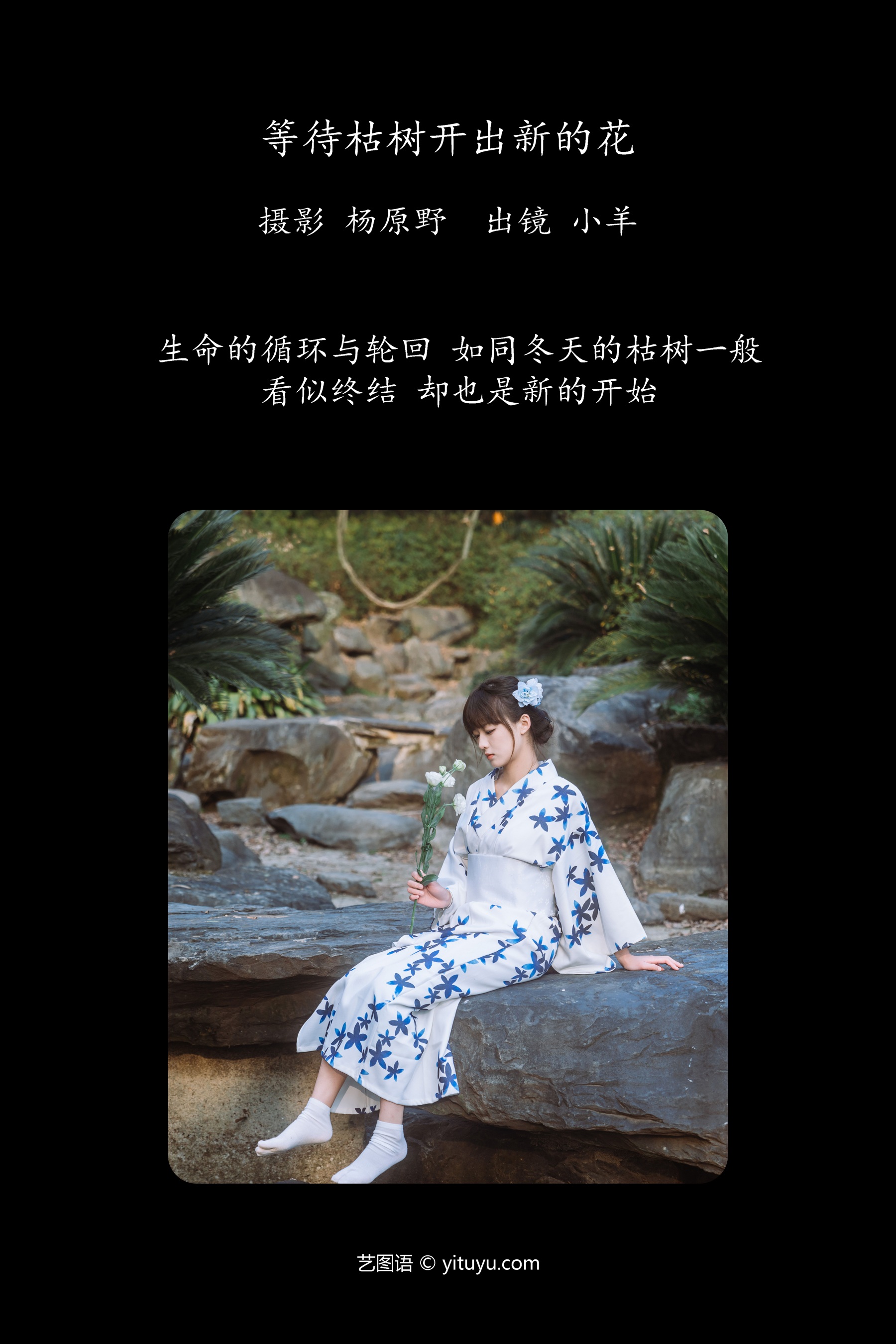等待枯树开出新的花 小羊