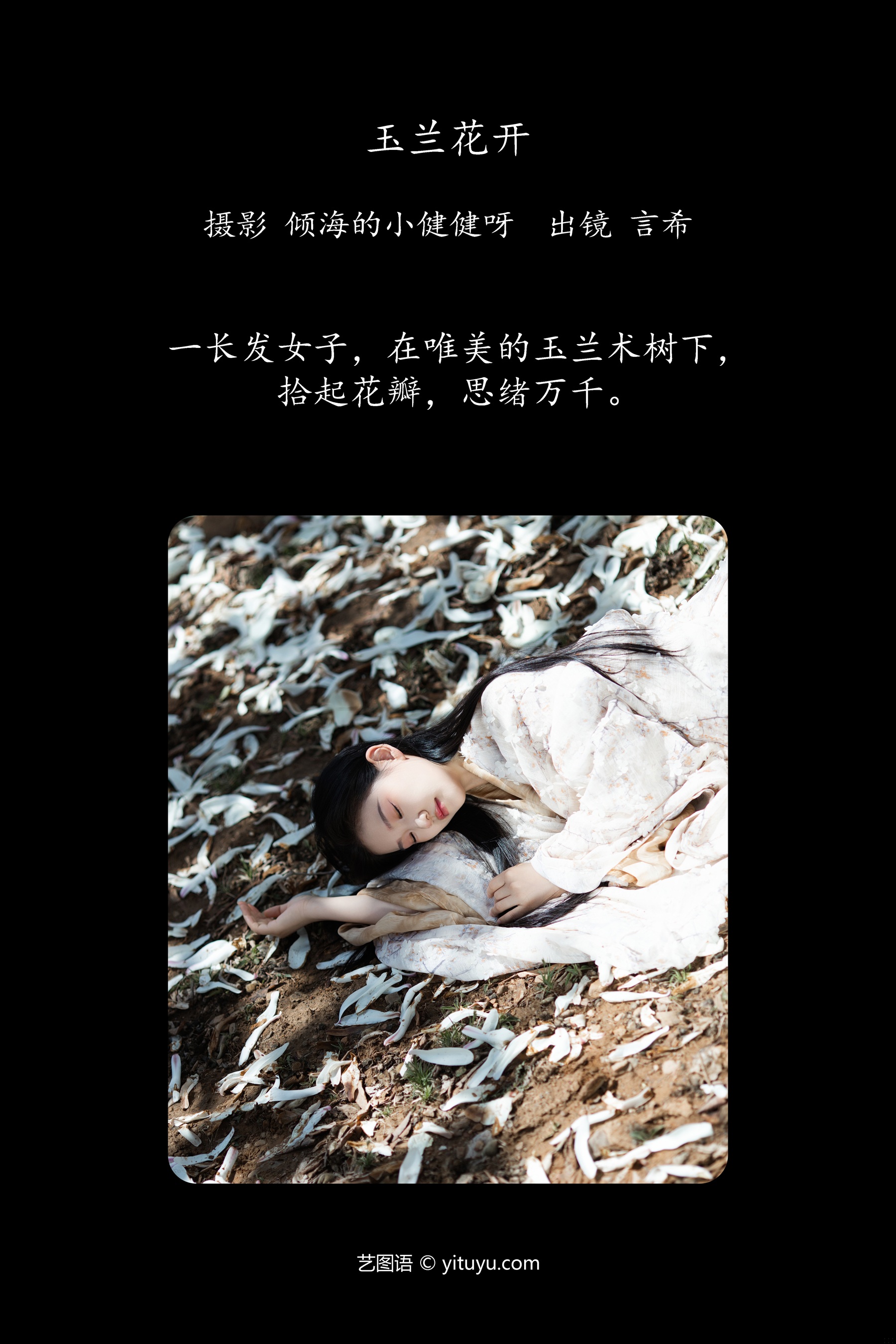 玉兰花开 相望回首喵喵喵