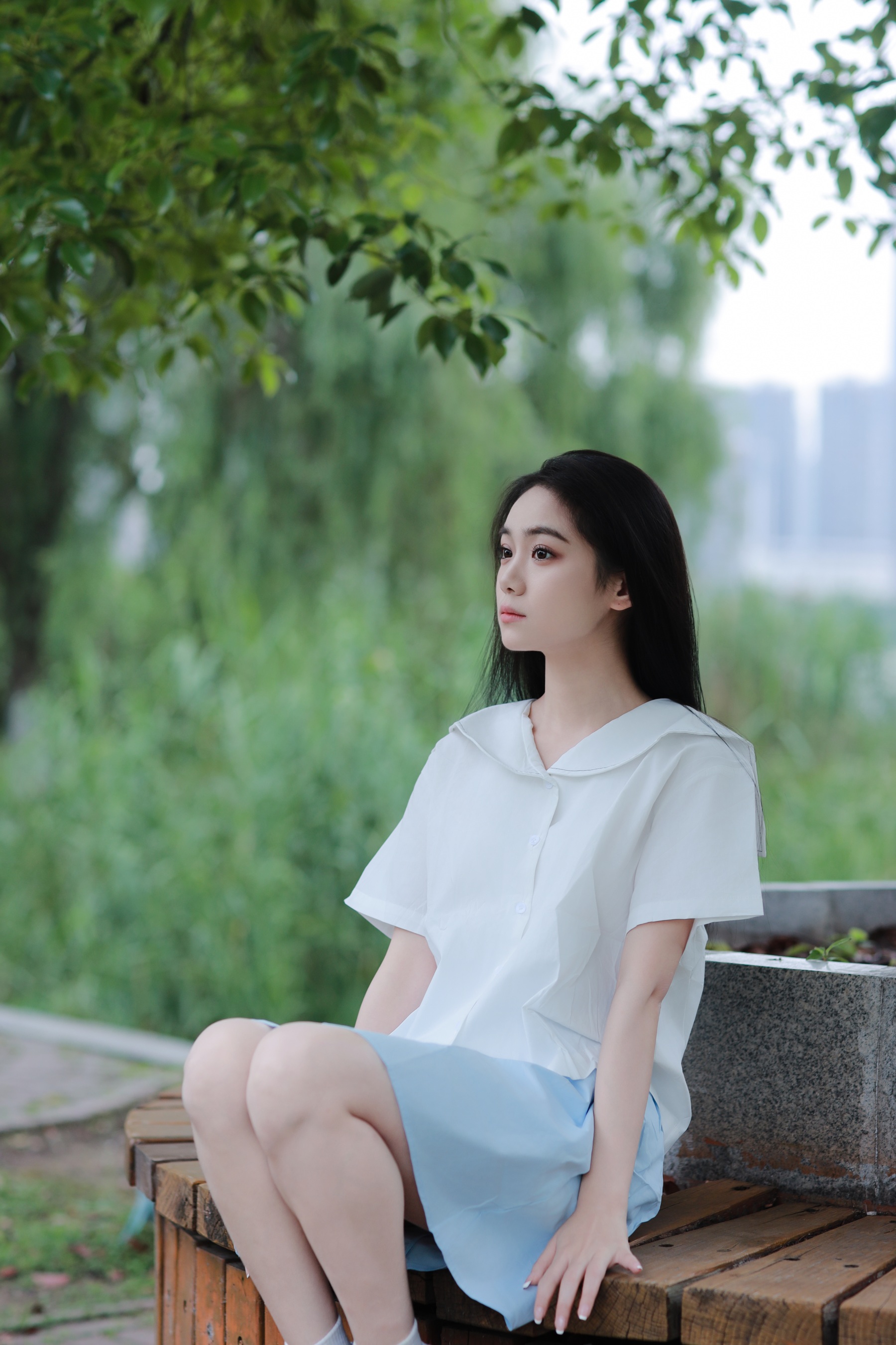 树荫下的清爽夏日 我不刷鸟