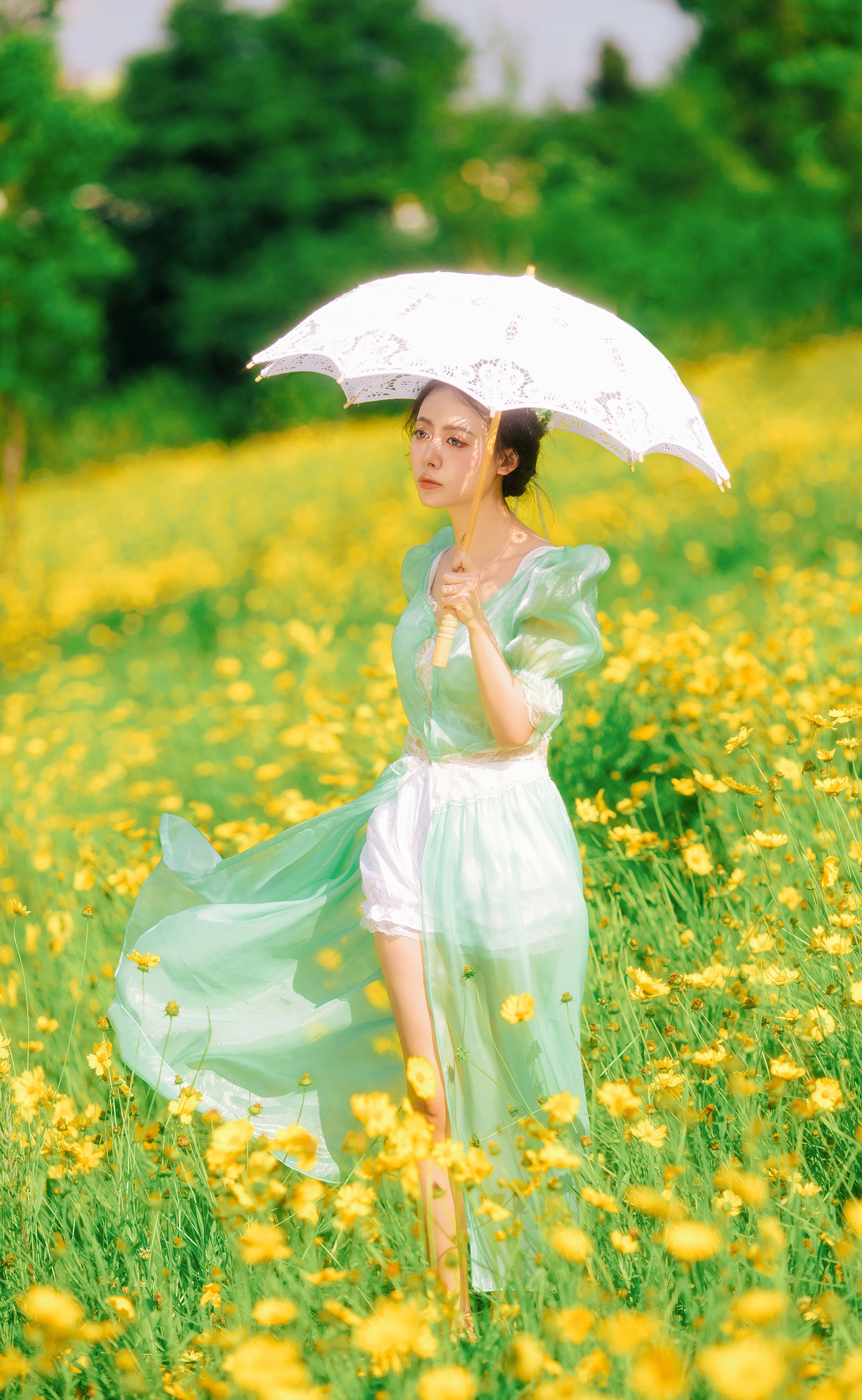 开在夏日里的花 是昂羊呀