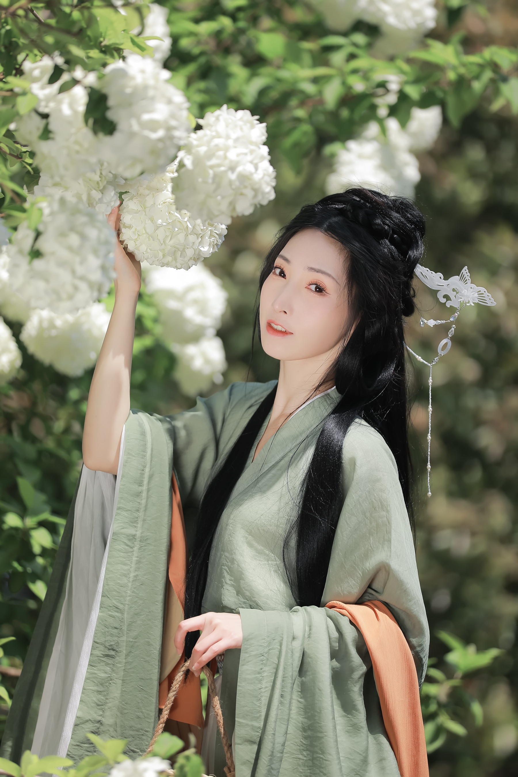 春如雪 李猜