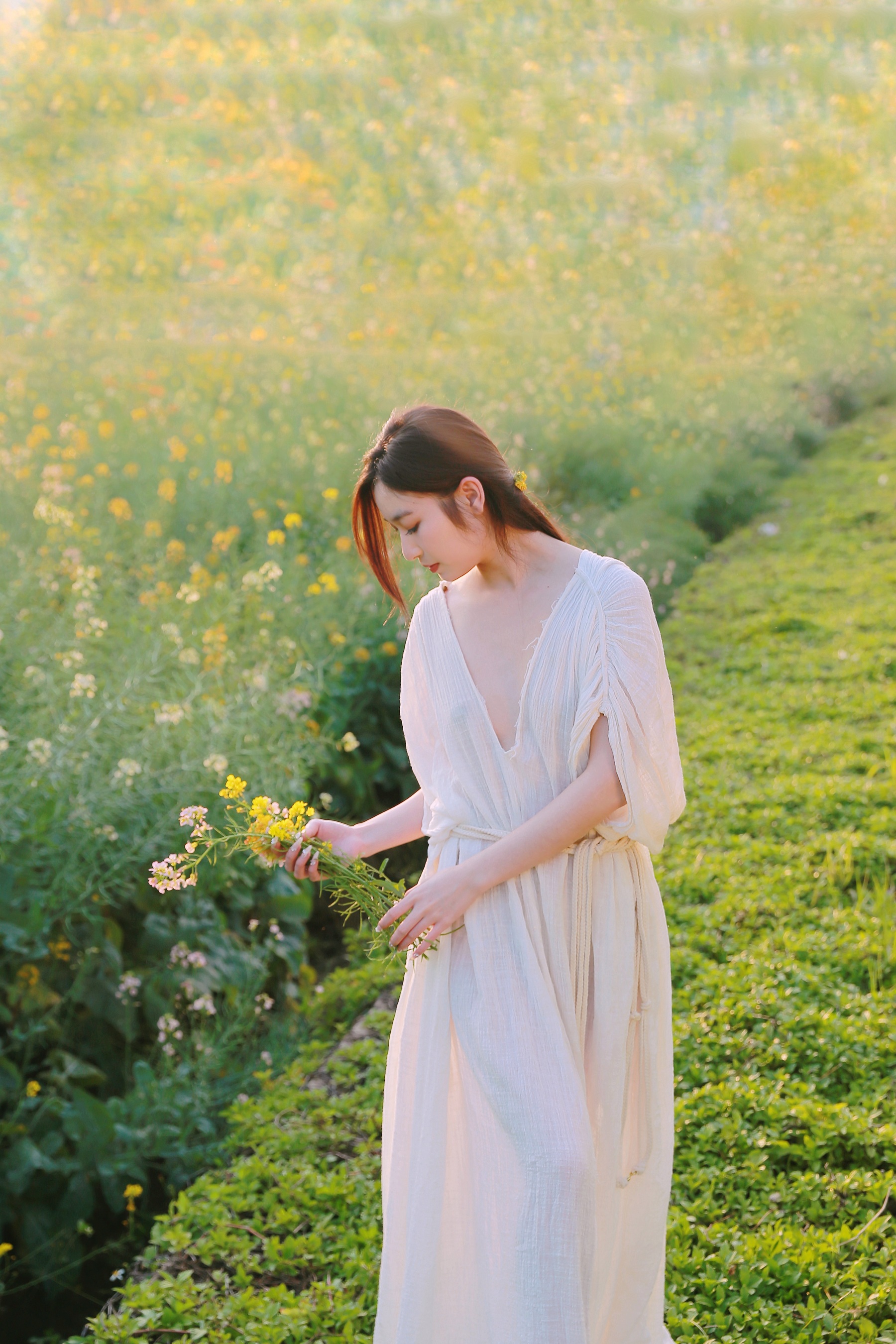 七彩花田之美 小熊